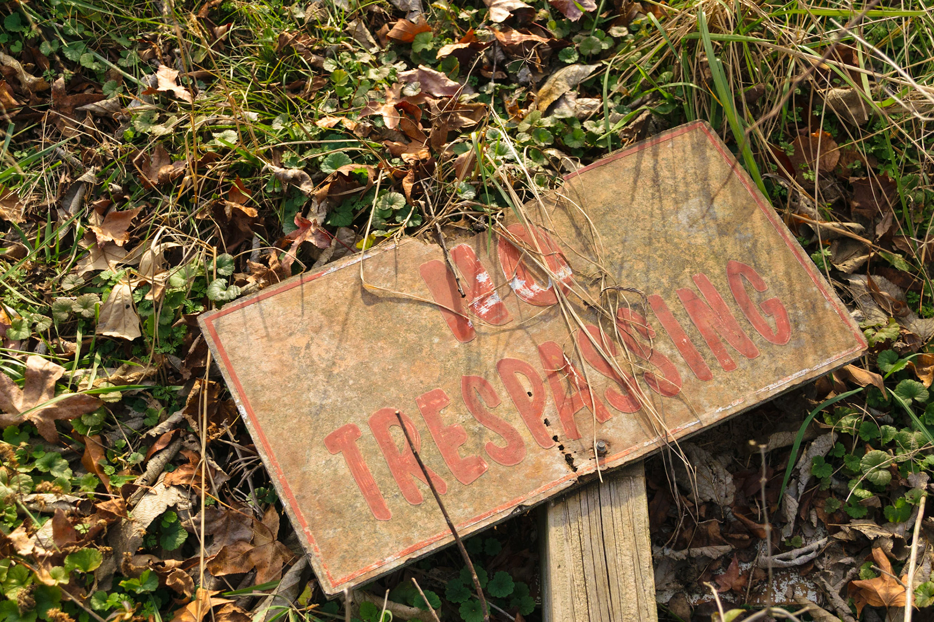 Someone apparently didn't listen to this sign.