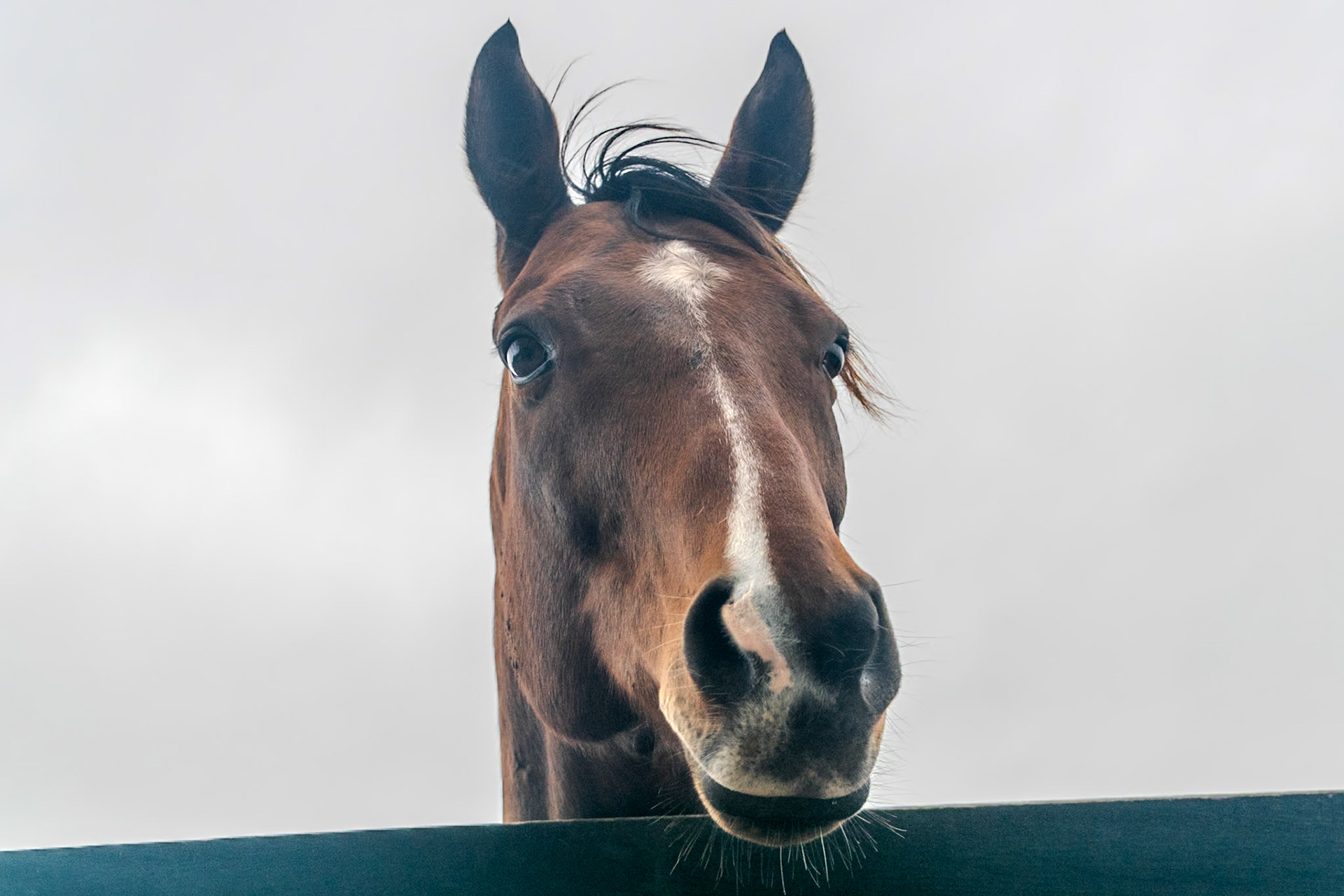 Stormy Liberal was really showing off in this shot.