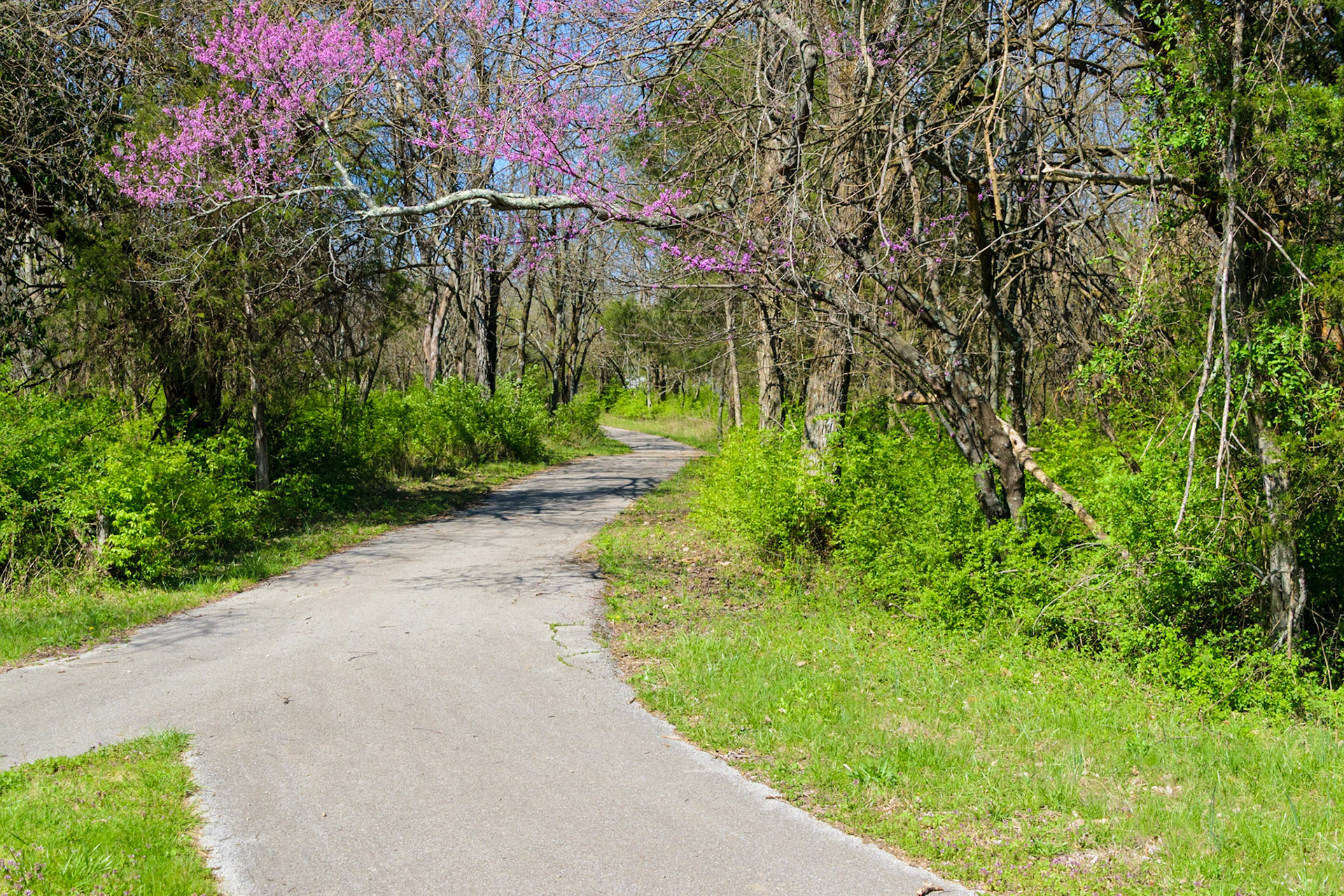 It's starting to look like spring in the Bluegrass.