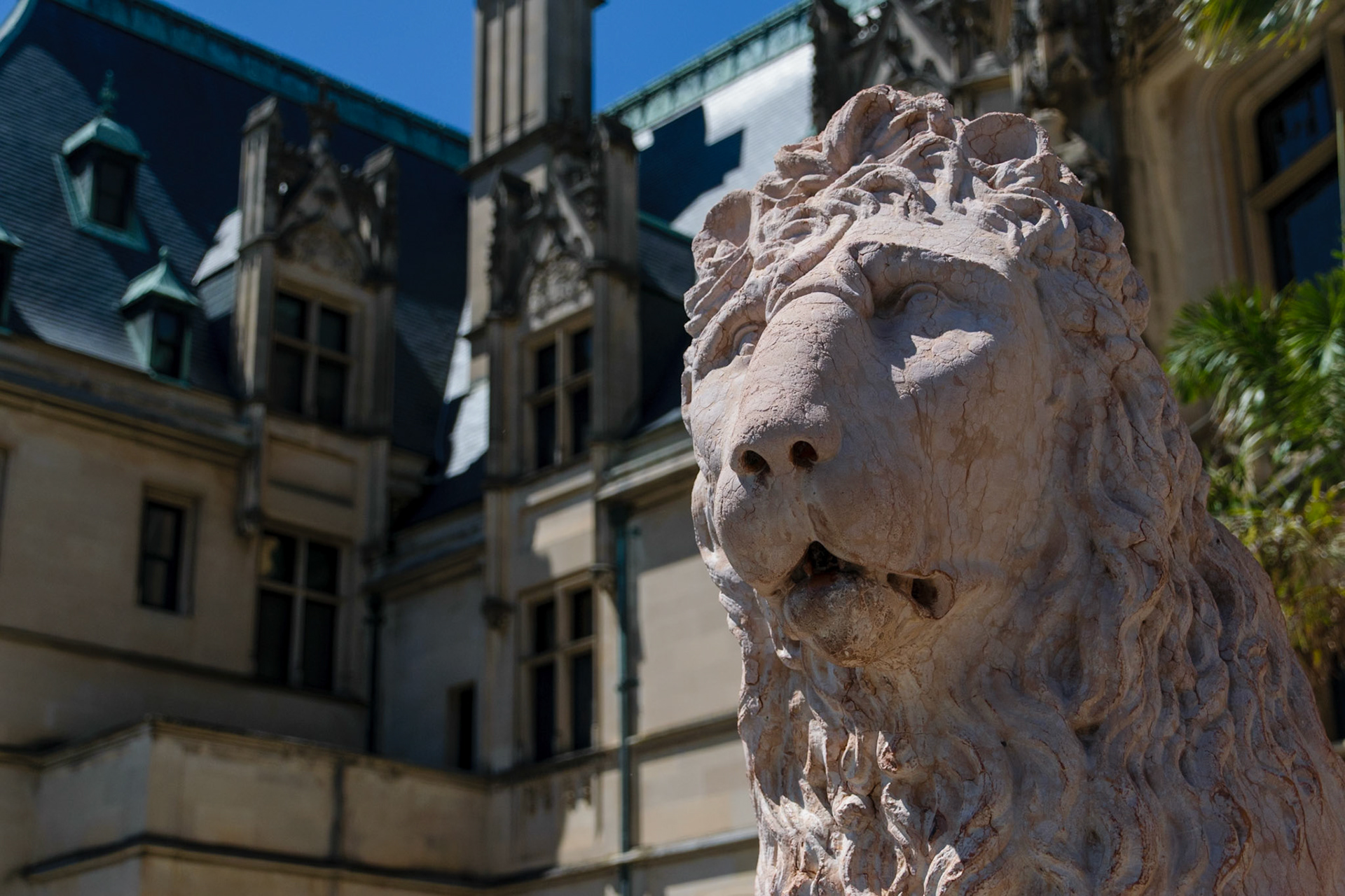 This lion statue guards the entrance to the Biltmore home.