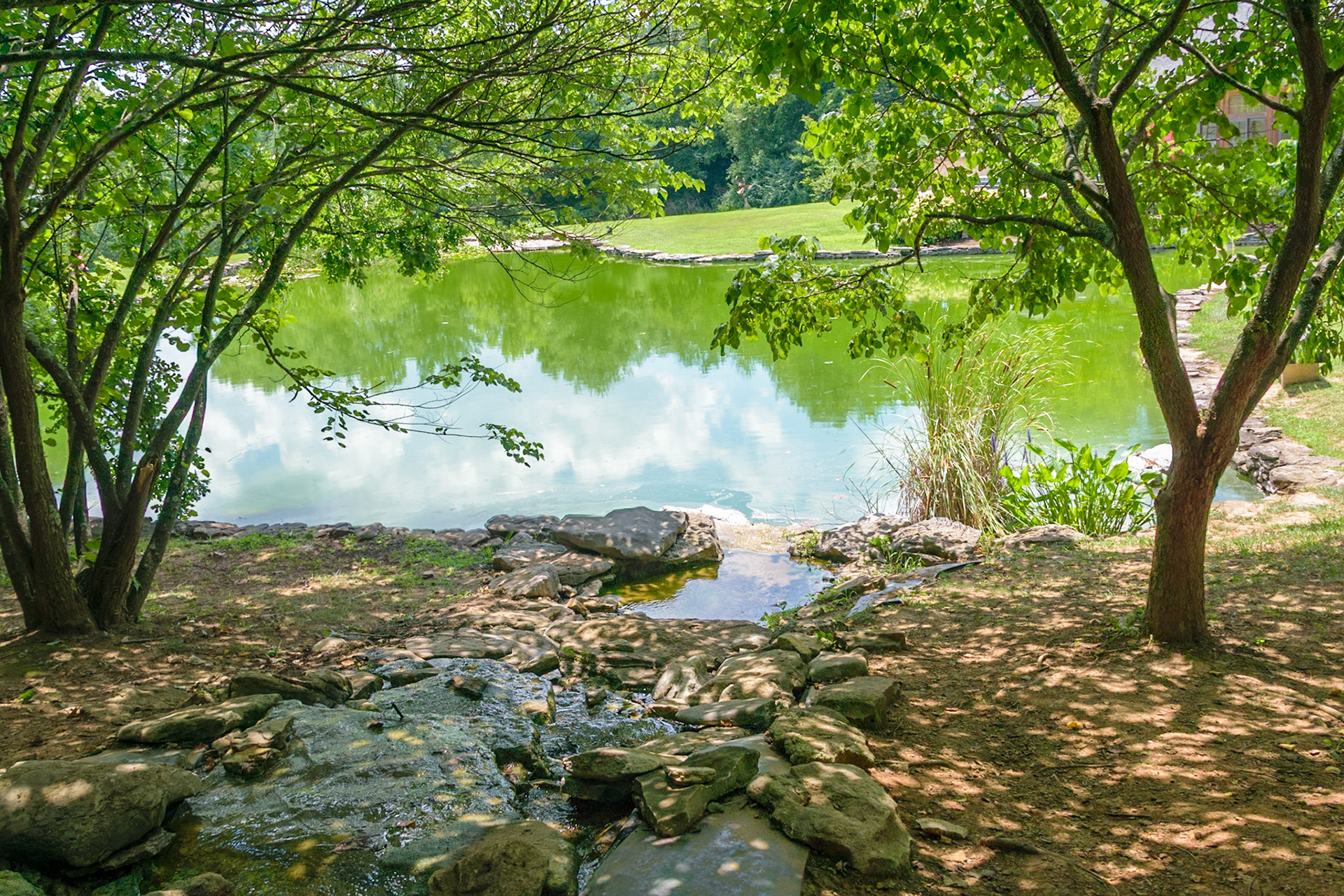 I experimented with some HDR here. It really helps the exposure. I'll have to try a polarizer next.