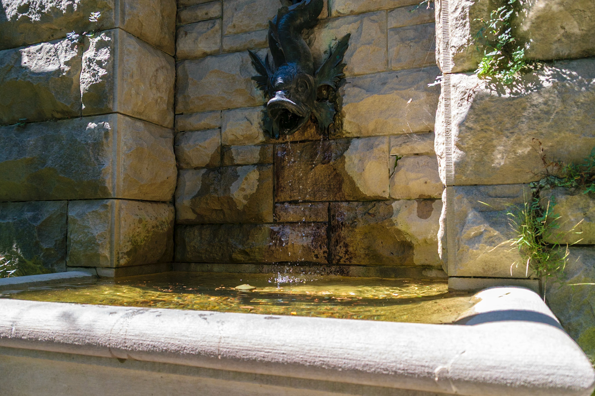 This fish endlessly fills the fountain below it.