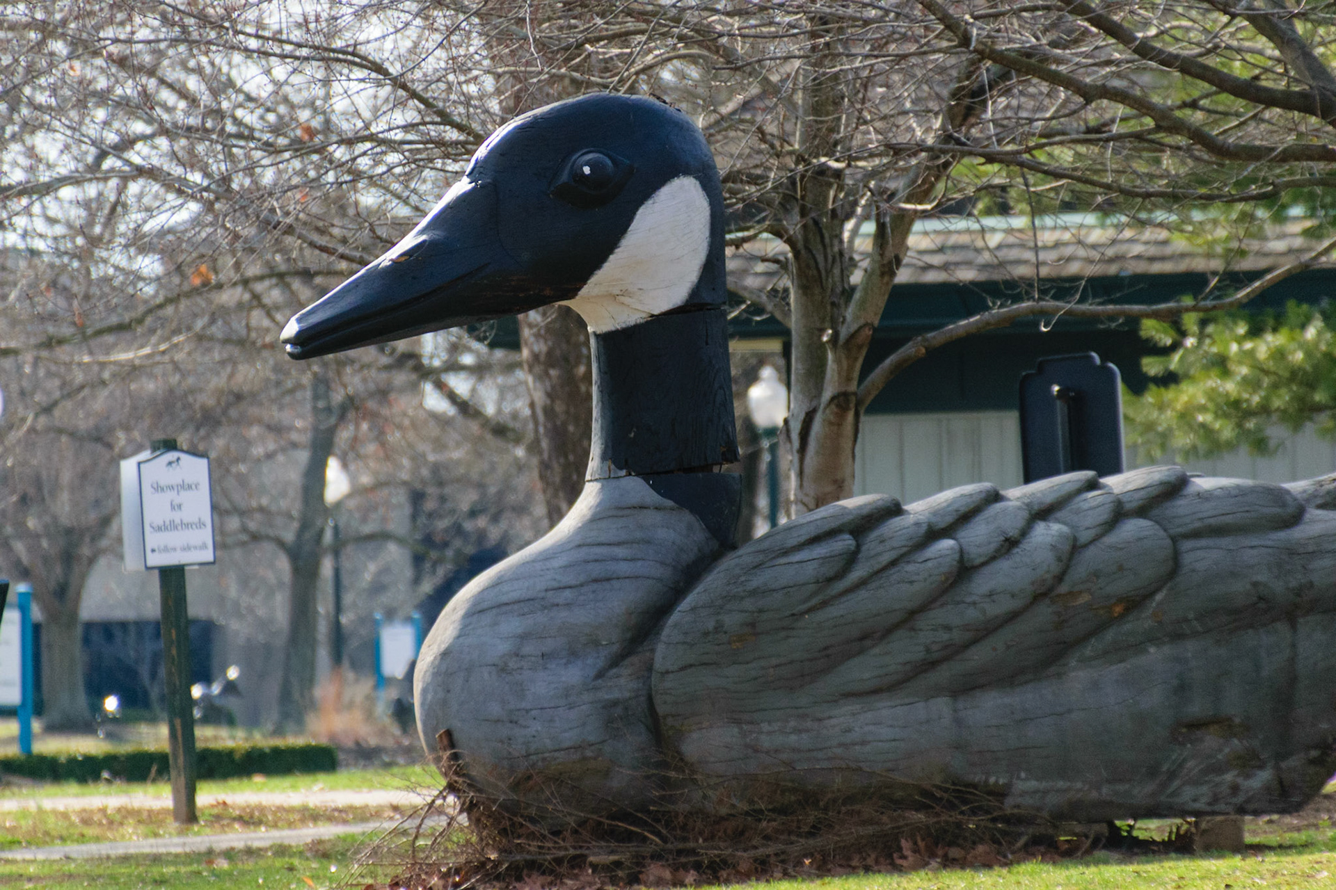 This huge goose was apparently once used as a prop in a horse competition. I'm not exactly sure what it was used for, but I wouldn't be surprised if horses were supposed to jump over it.