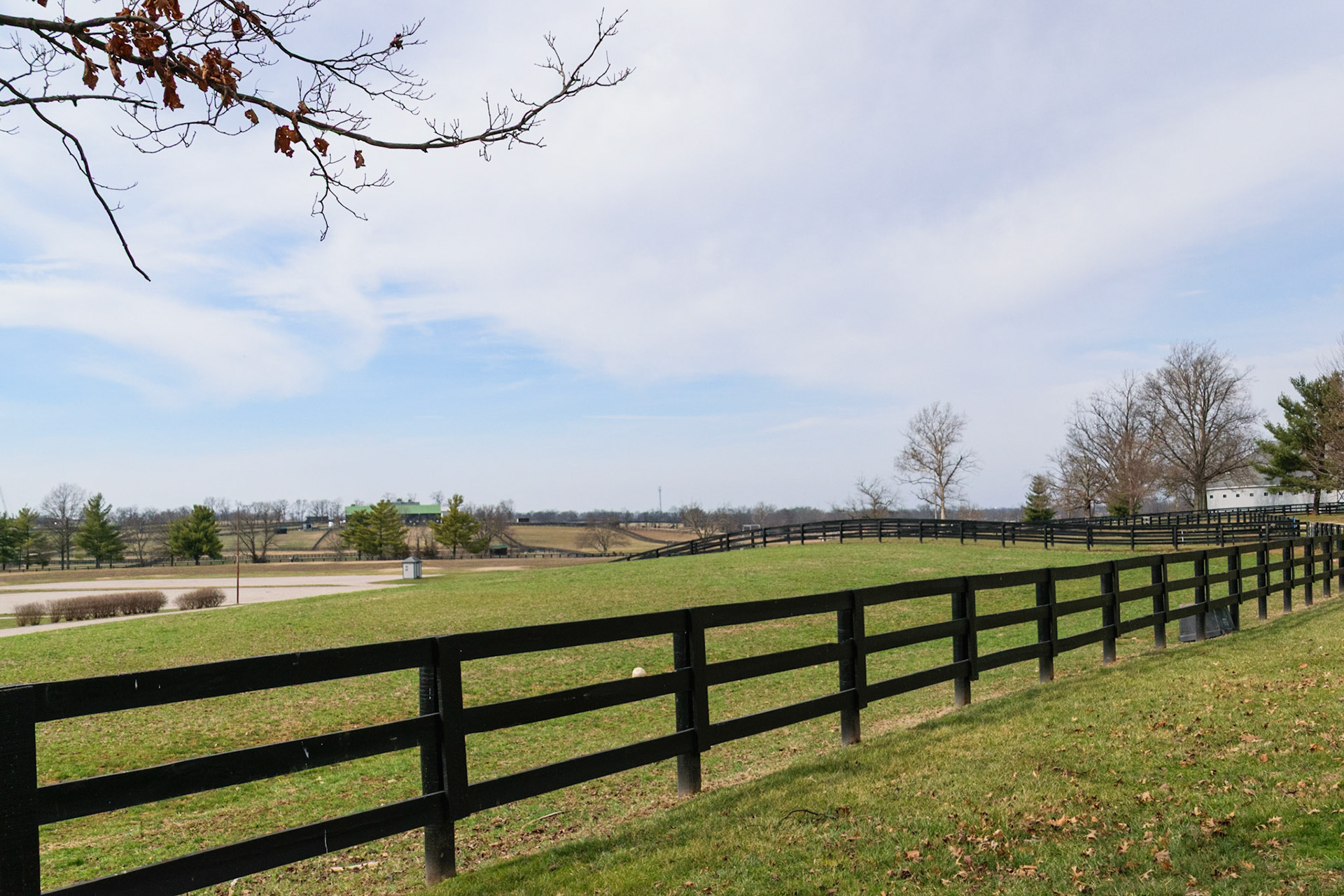 The horse park contains many acres of rolling green pastures for horses and people to enjoy.