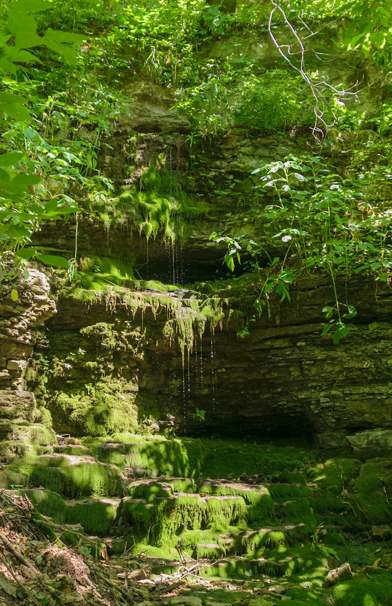A small spring pours our from the rock above.