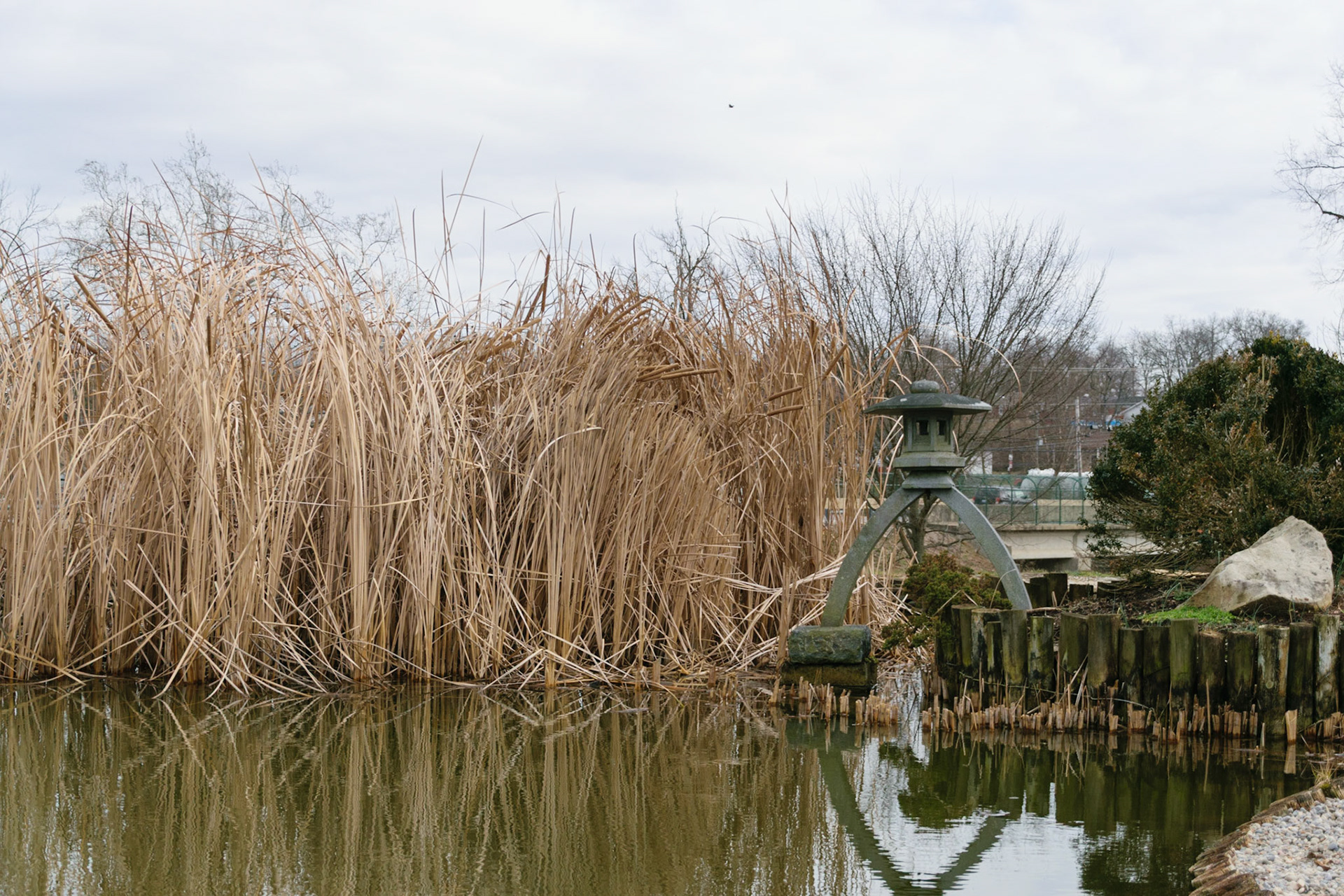 Another closer shot of the statue and the tall grass.