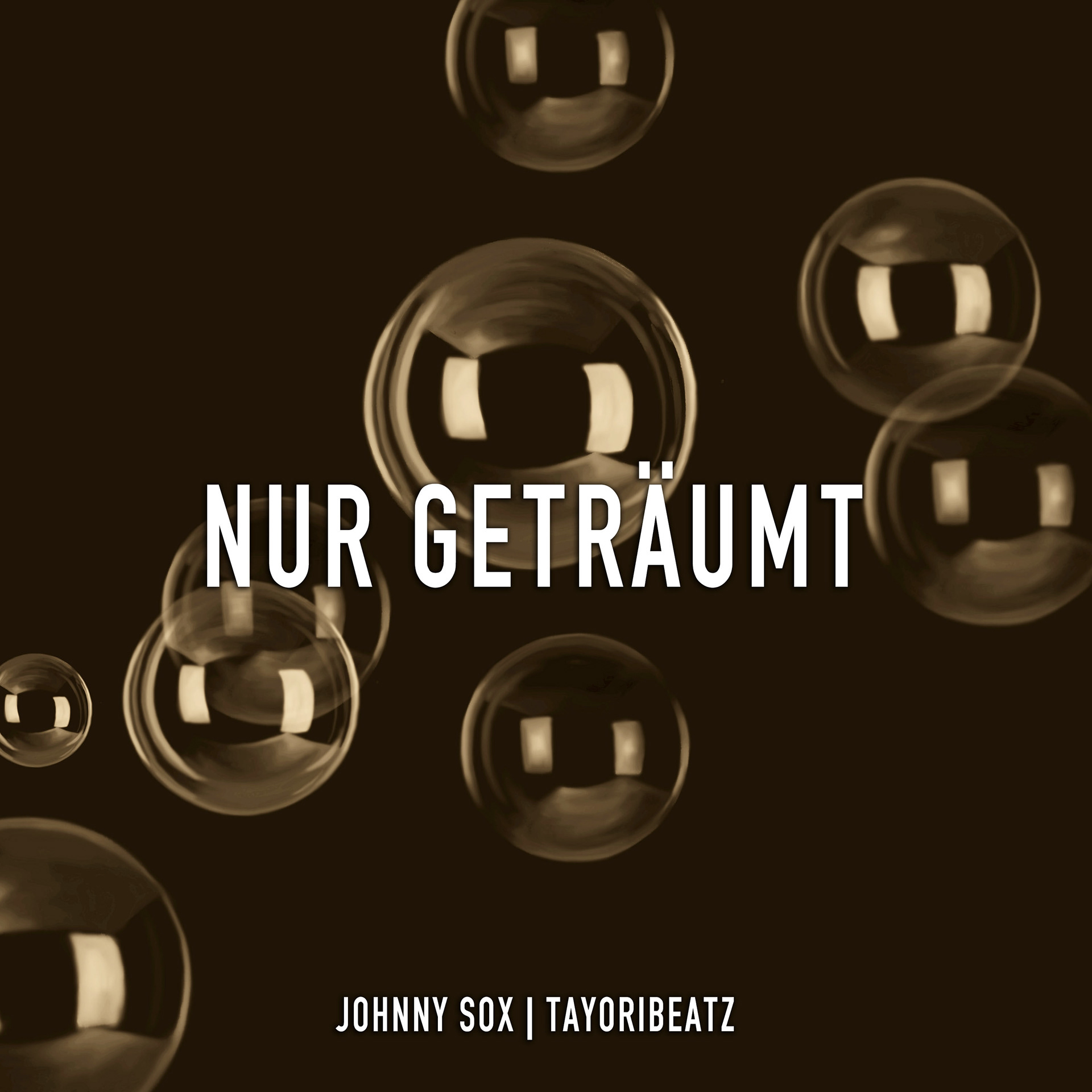 Musikcover für Johnny Sox / Tayoribeatz - Nur geträumt