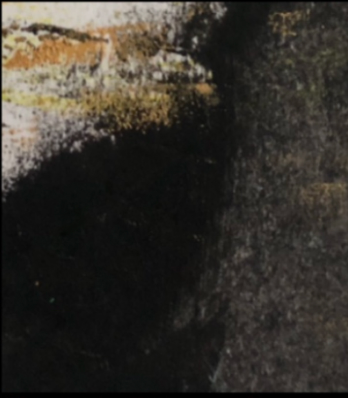 Detail cropped section