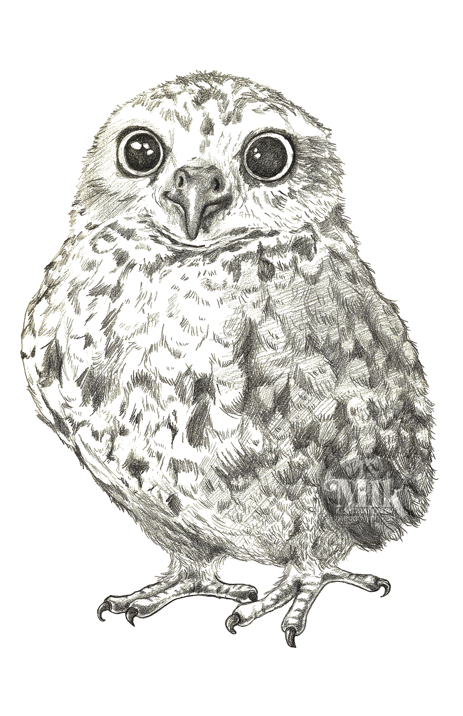 Sketch for Old Navy Girls graphic tee