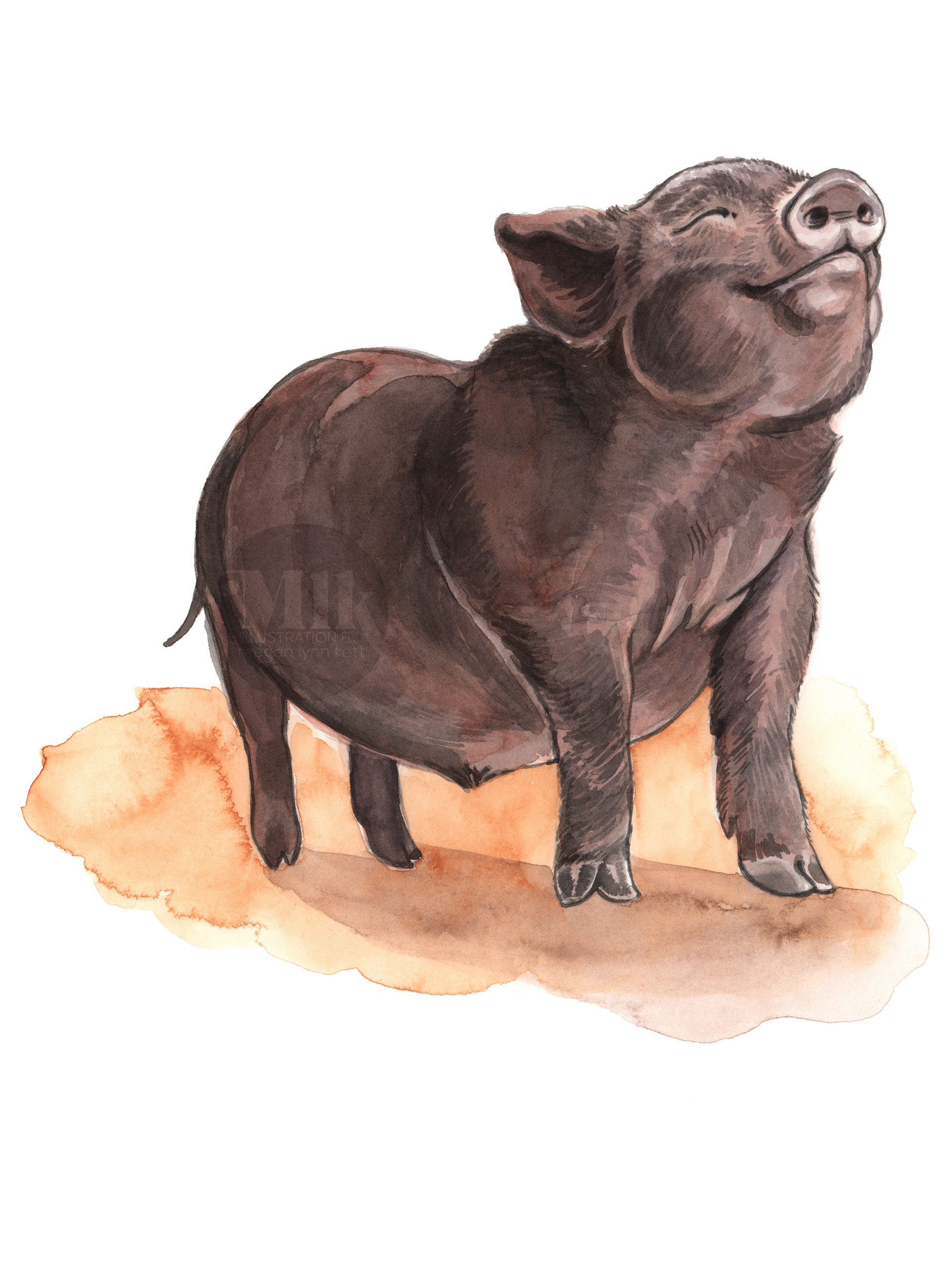 Done for "Unfamiliar Familiars" published 2020 by Chronicle Books