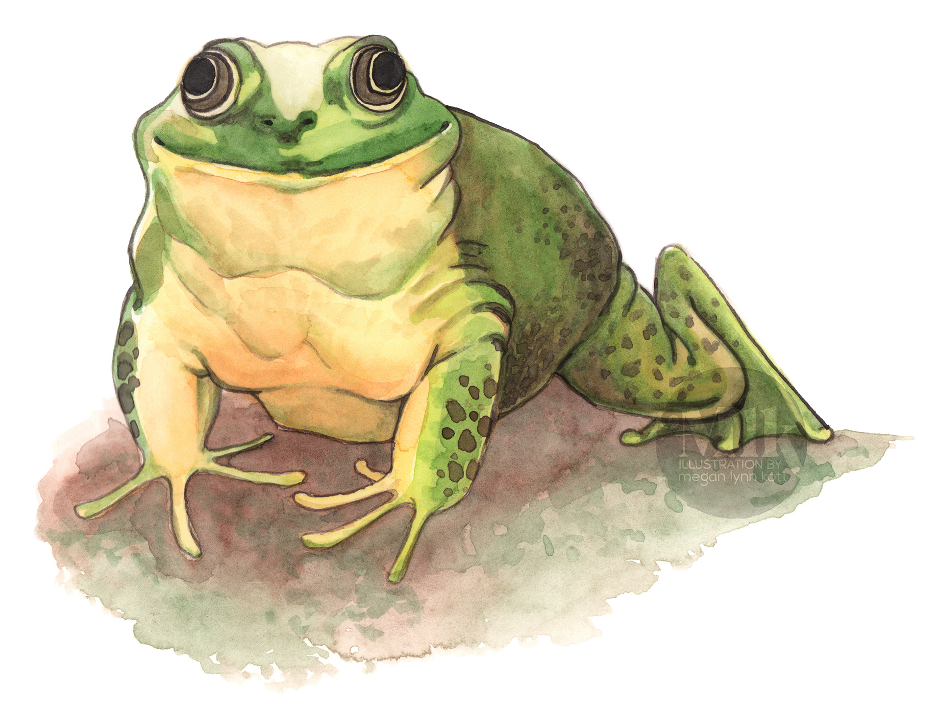 Done for "Unfamiliar Familiars" published 2020 by Chronicle Books