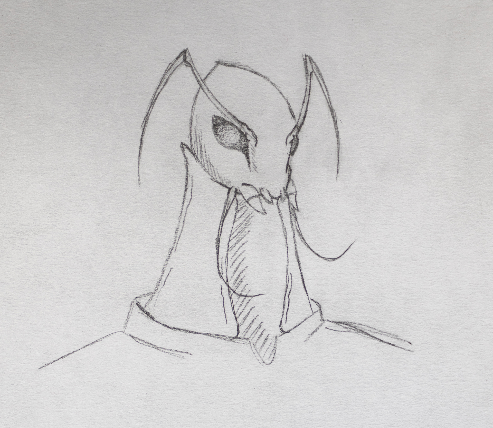 Wasp with brow, Neutral