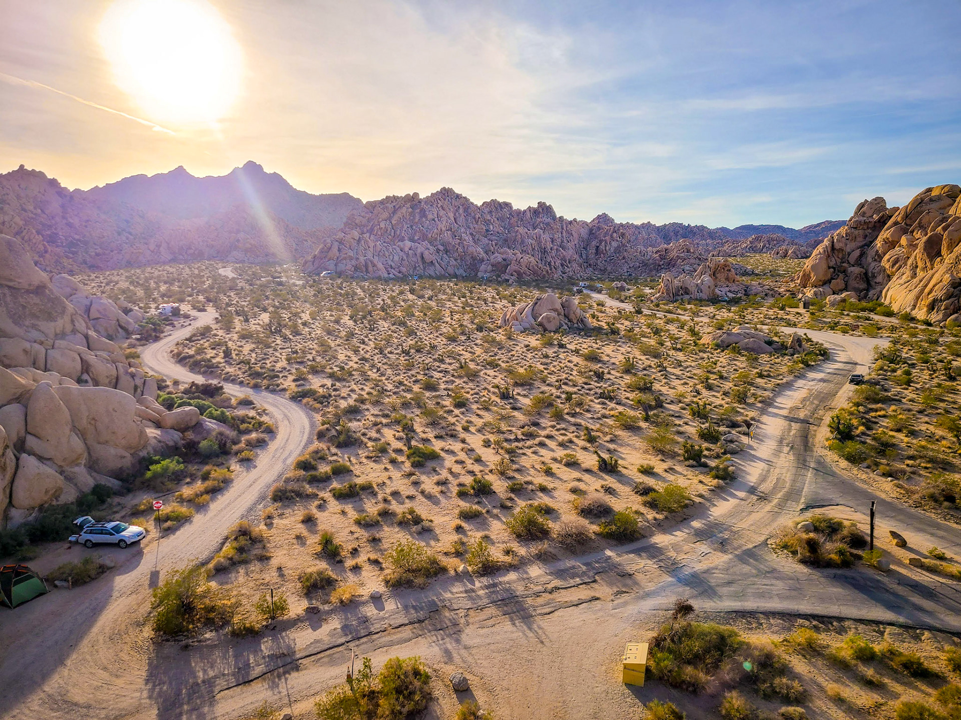 Joshua Tree at Dusk