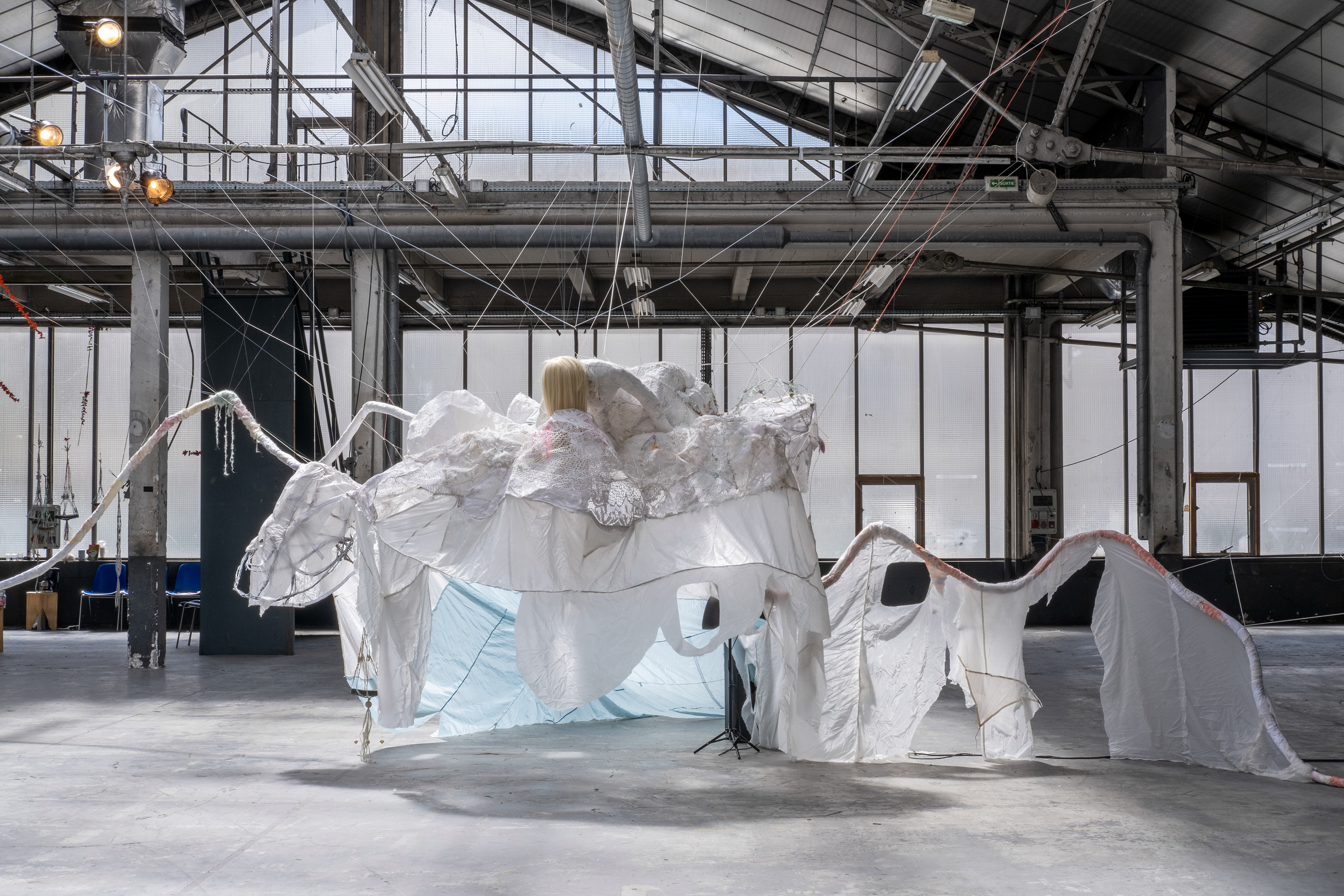Exhibition Faire L'Autruche of the french artist Vanina Langer in Paris