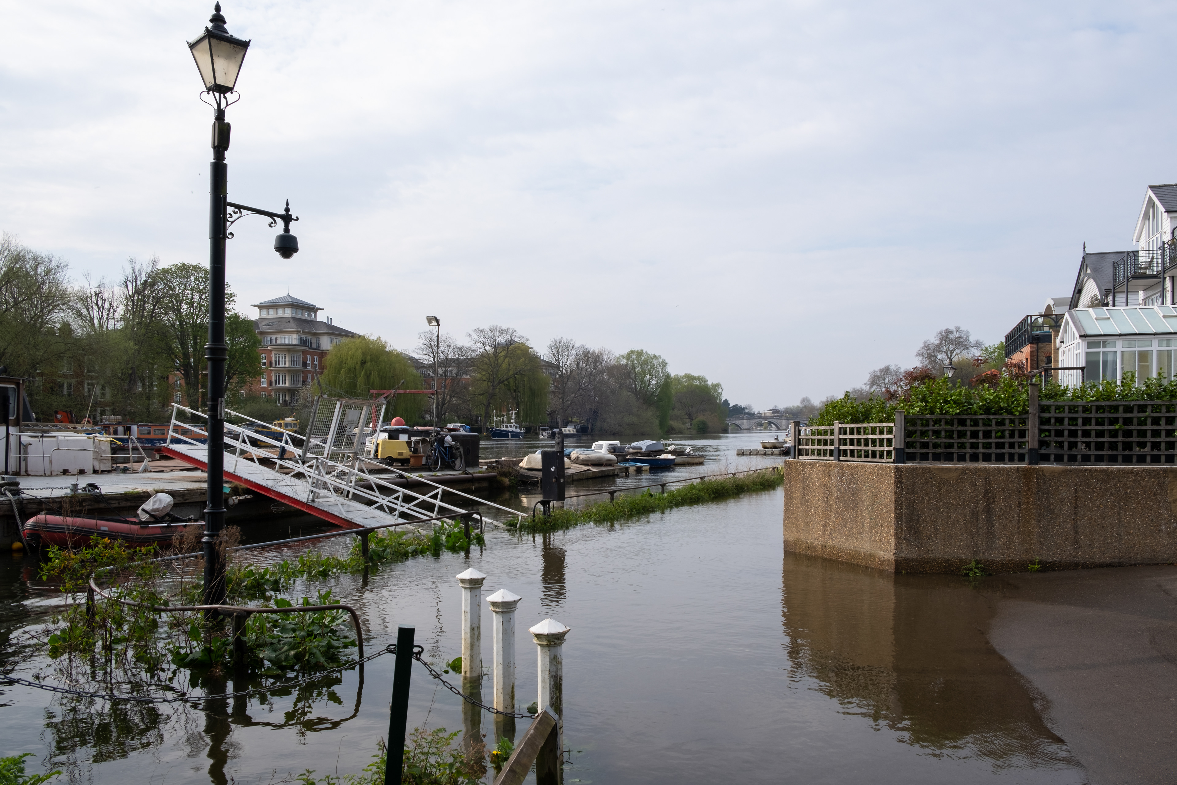 Flood of the Thames in Richmond, England during Coronavirus and Covid 19 crisis