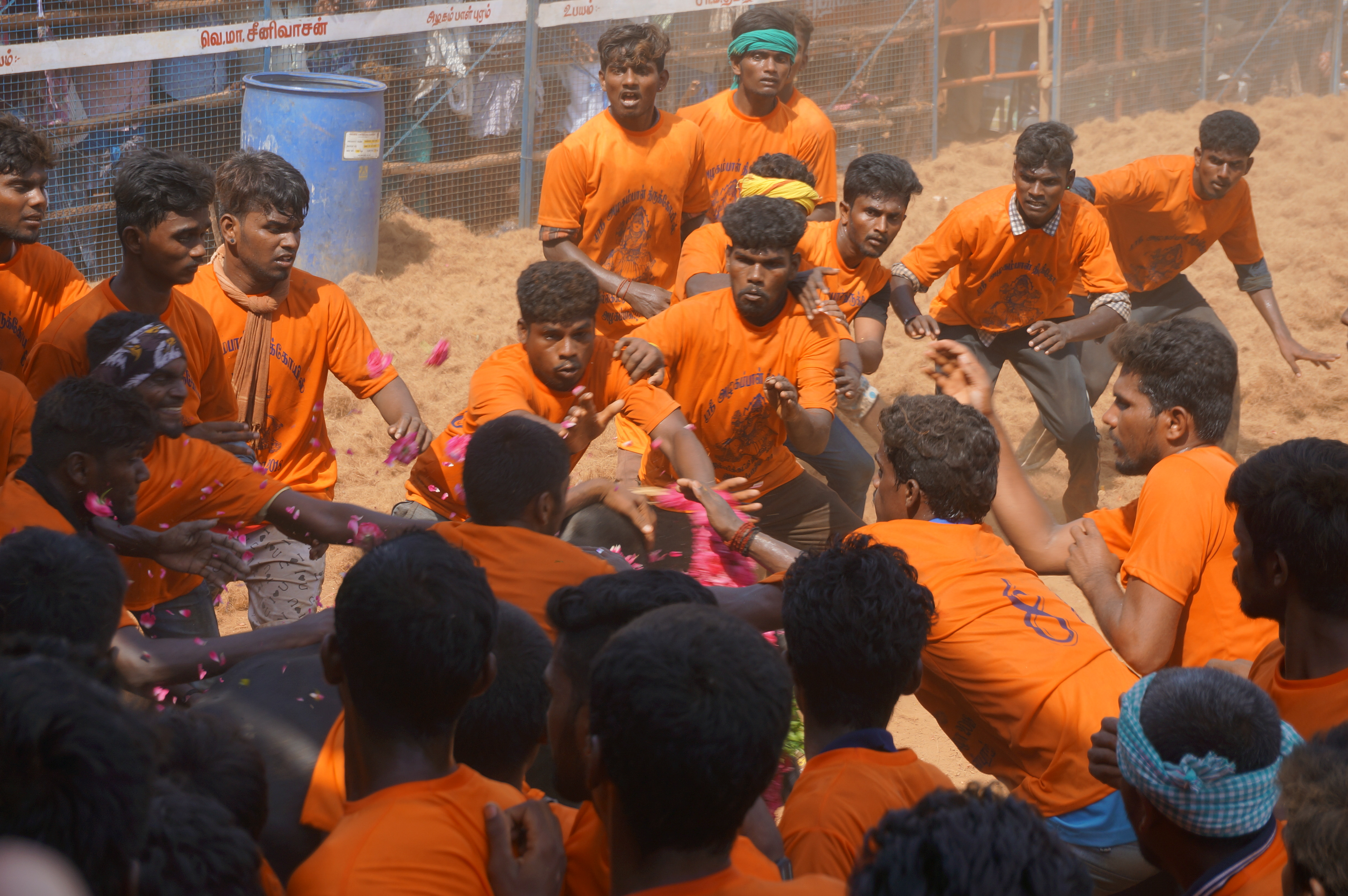 Jallikattu is a traditional bull taming sport, practiced in the district of Puddukottai. Several teams try to tame the bull. Sometimes, accidents happen. The public can watch the event. This photo was taken during the bull taming competition in April 2018