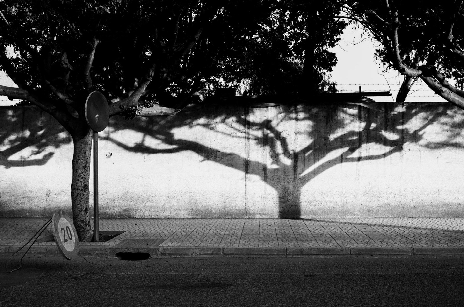 Shades and trees in the streets of Casablanca, Morocco