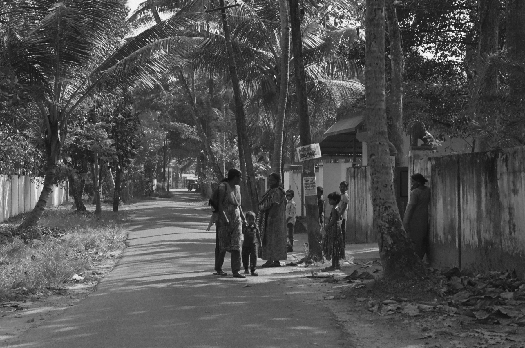 Marari, Kerala, India, January 2023