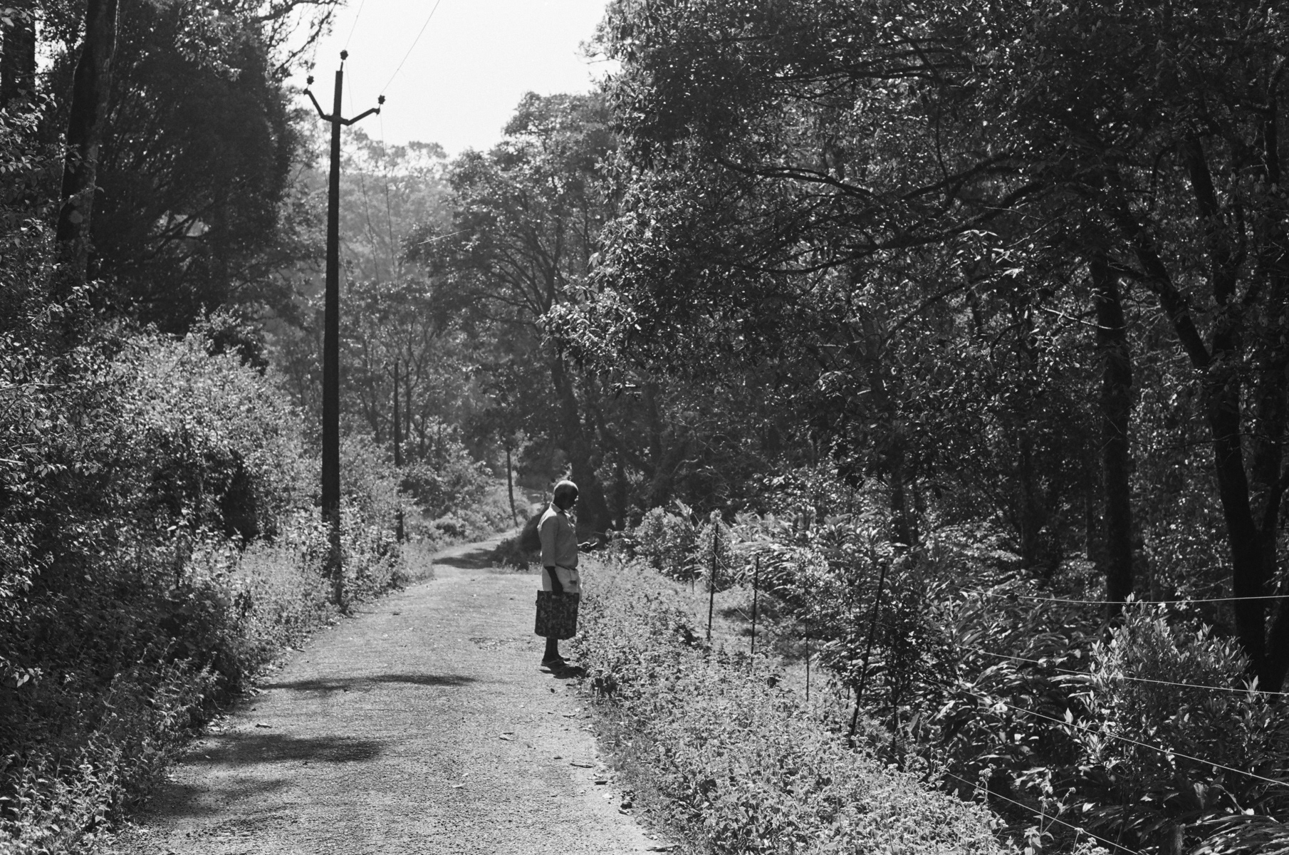 Thekkady, Kerala, India, January 2023