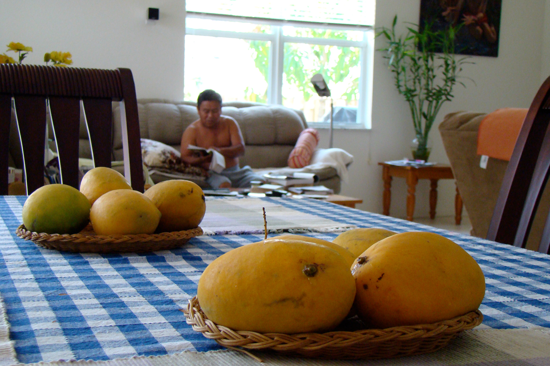 Ripe mangos fill the house with their fragrance.
