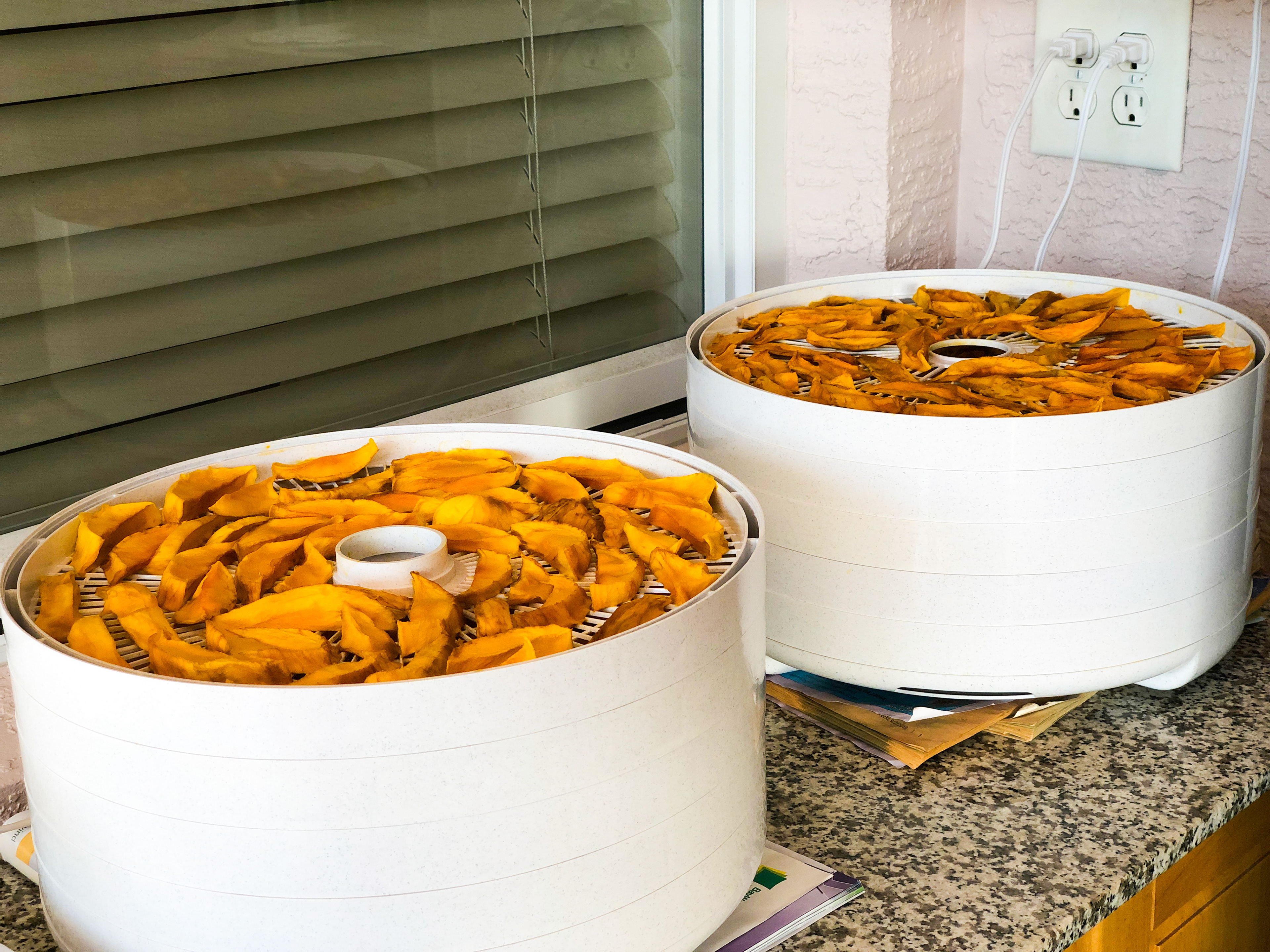After 12-16 hours, the dehydrated mangos are ready to bag (or eat).