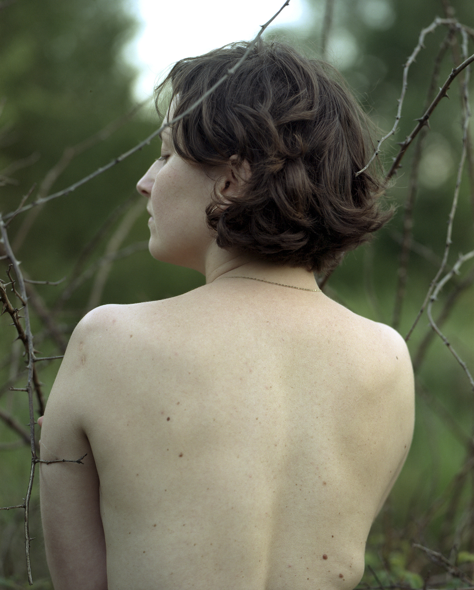thorns