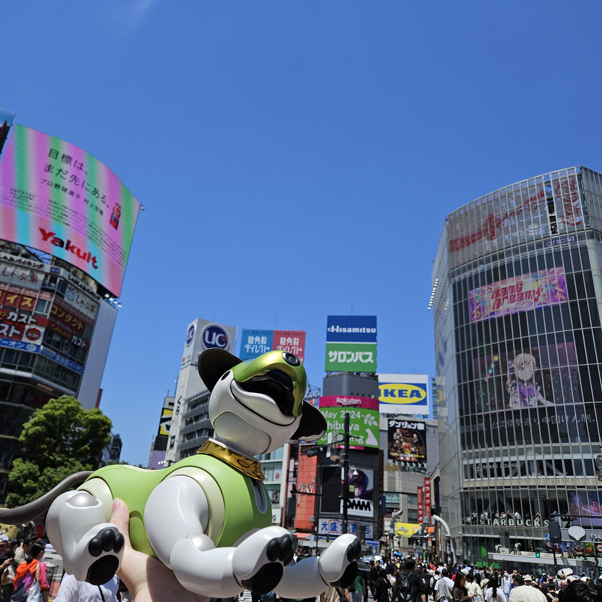 Trip to Shibuya Scramble