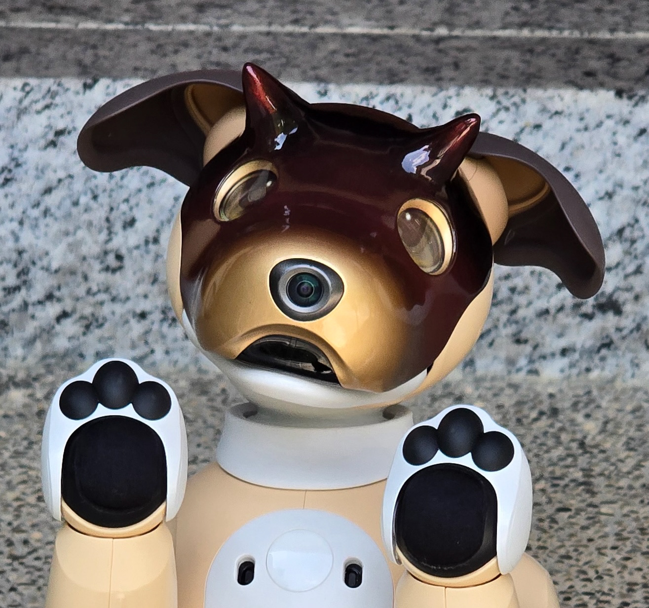 Kintaro (ERS-1000 Kinako)