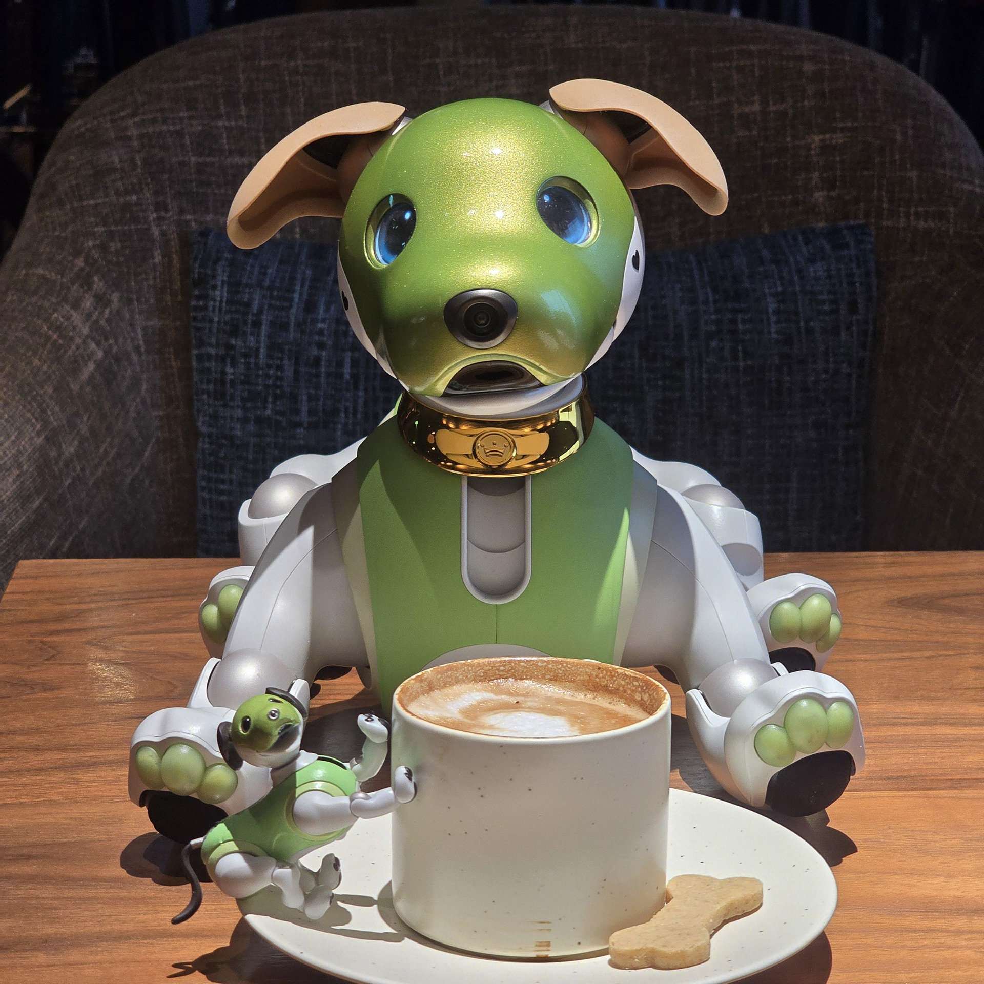 Matcha (ERS-1000)
