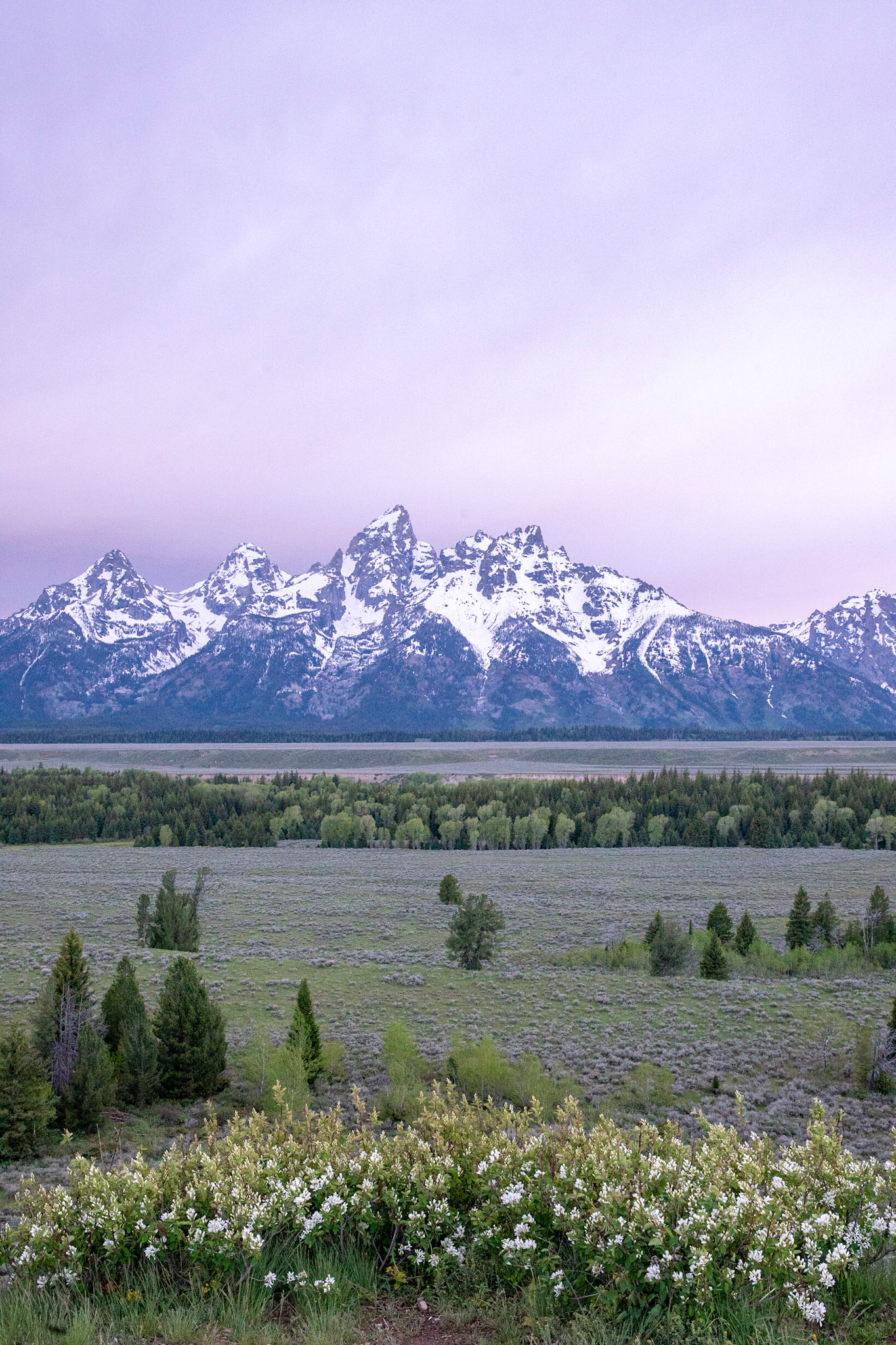 The snow-capped tetons at sunset from the Teton Point Turnout.
