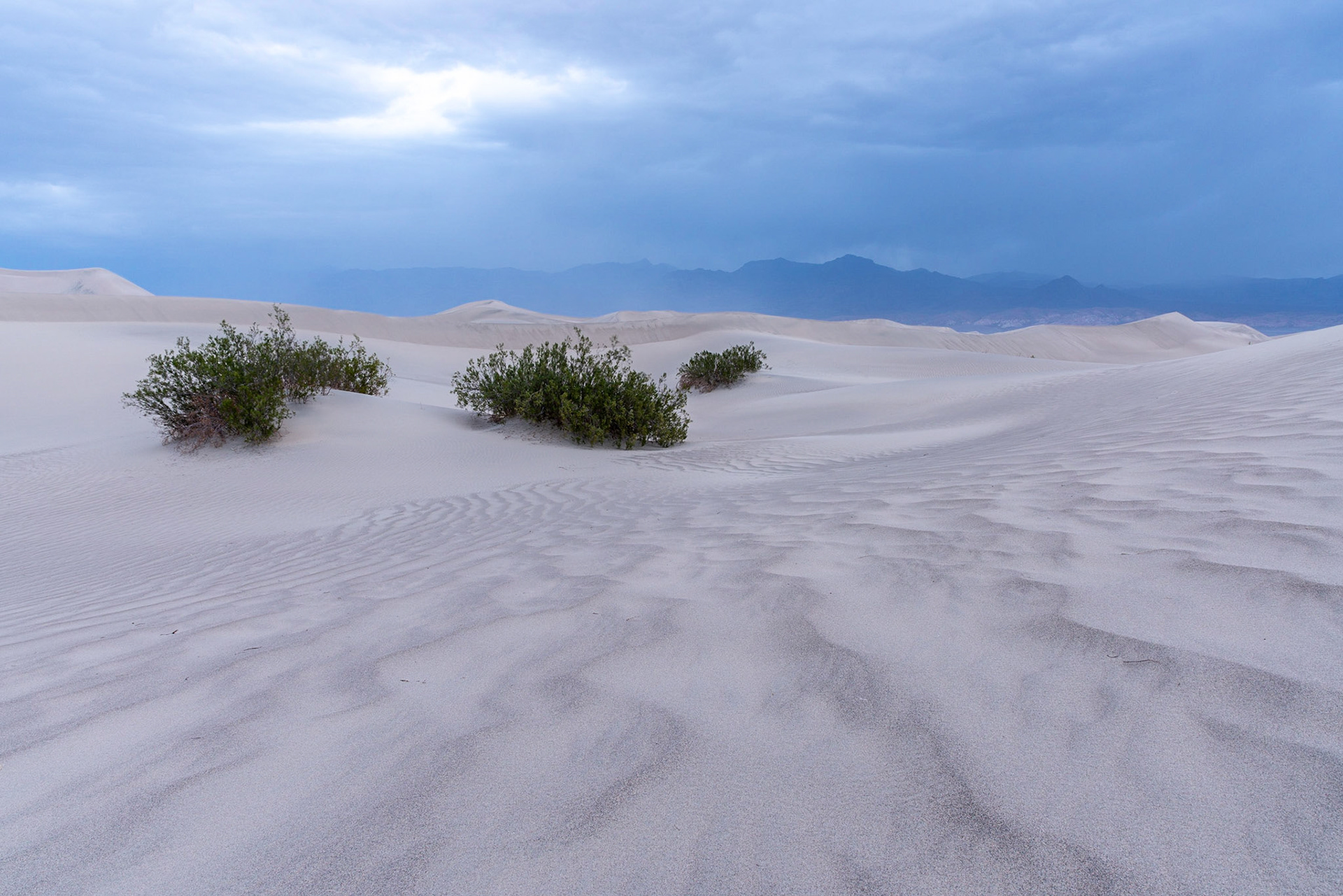 Sunrise at the Mesquite Dunes with a winter storm coming through to reset the canvas