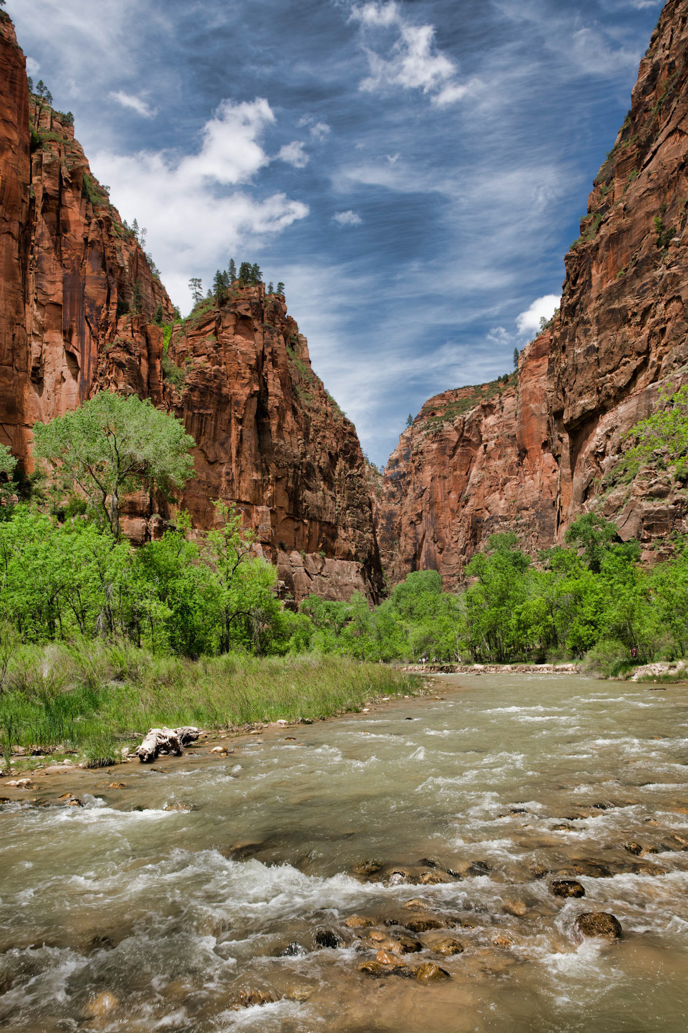 On the quick hike to the Zion Canyon Narrows.