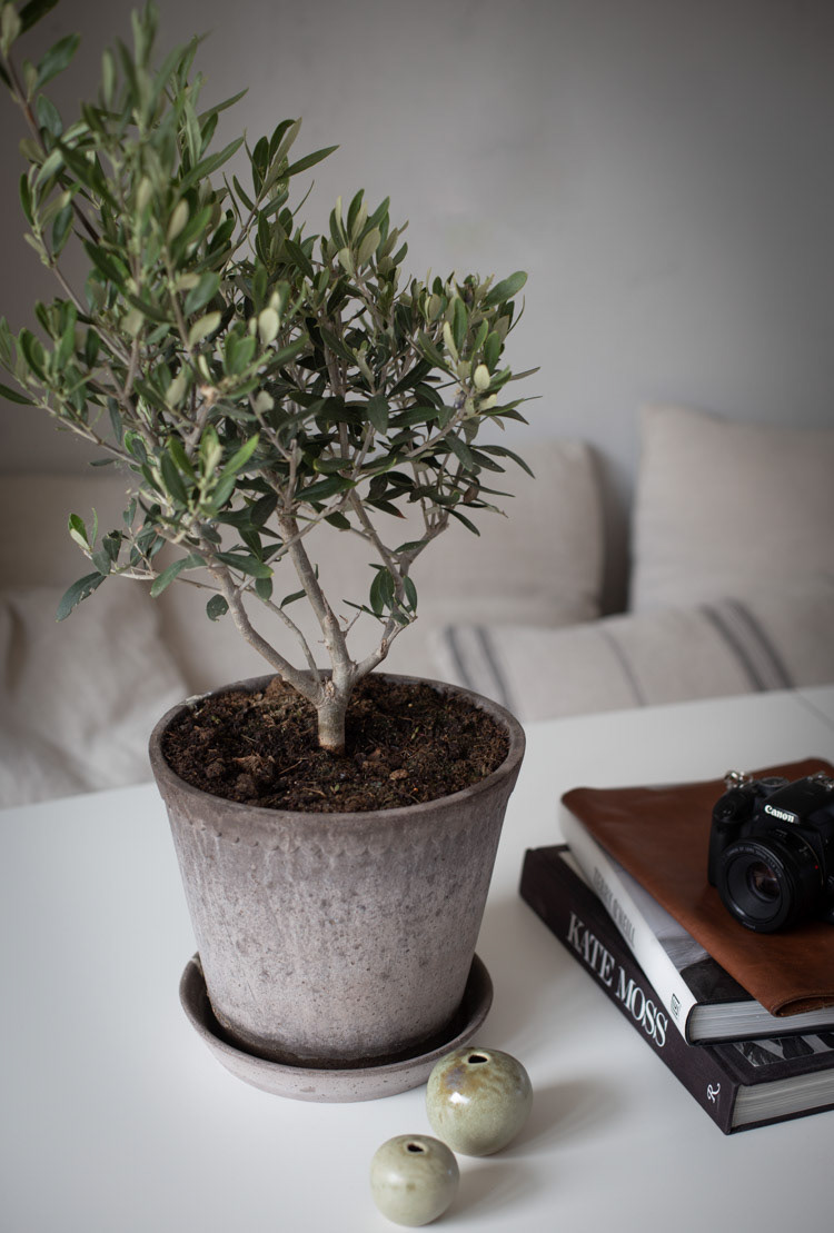 Skovby Photographer Niki Brantmark