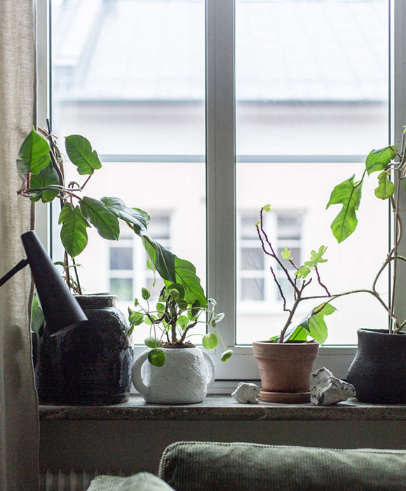 BEMZ Photographer Niki Brantmark