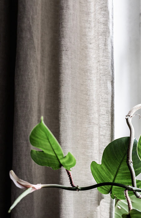 BEMZ Photographer Niki Brantmark