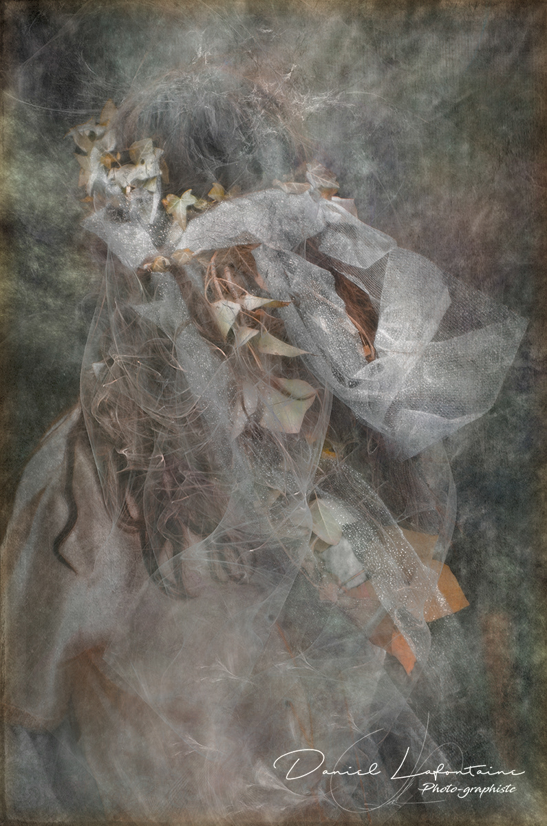 Voile de brumes