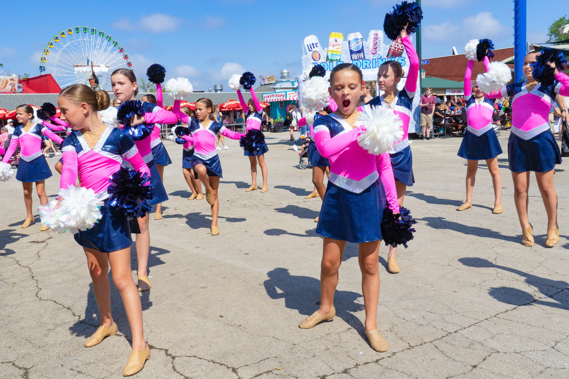 Wisconsin State Fair  2018