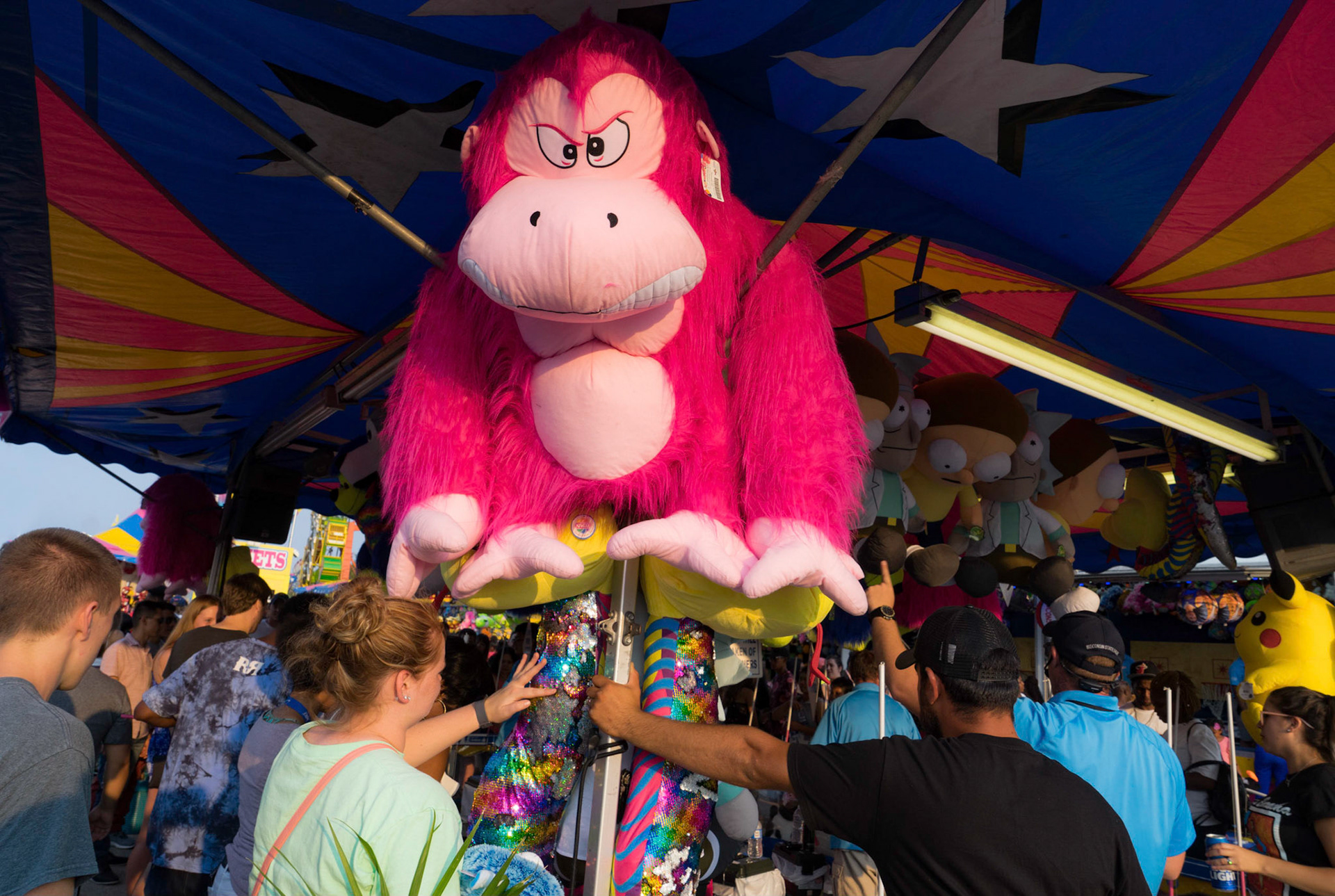 Wisconsin State Fair  2018