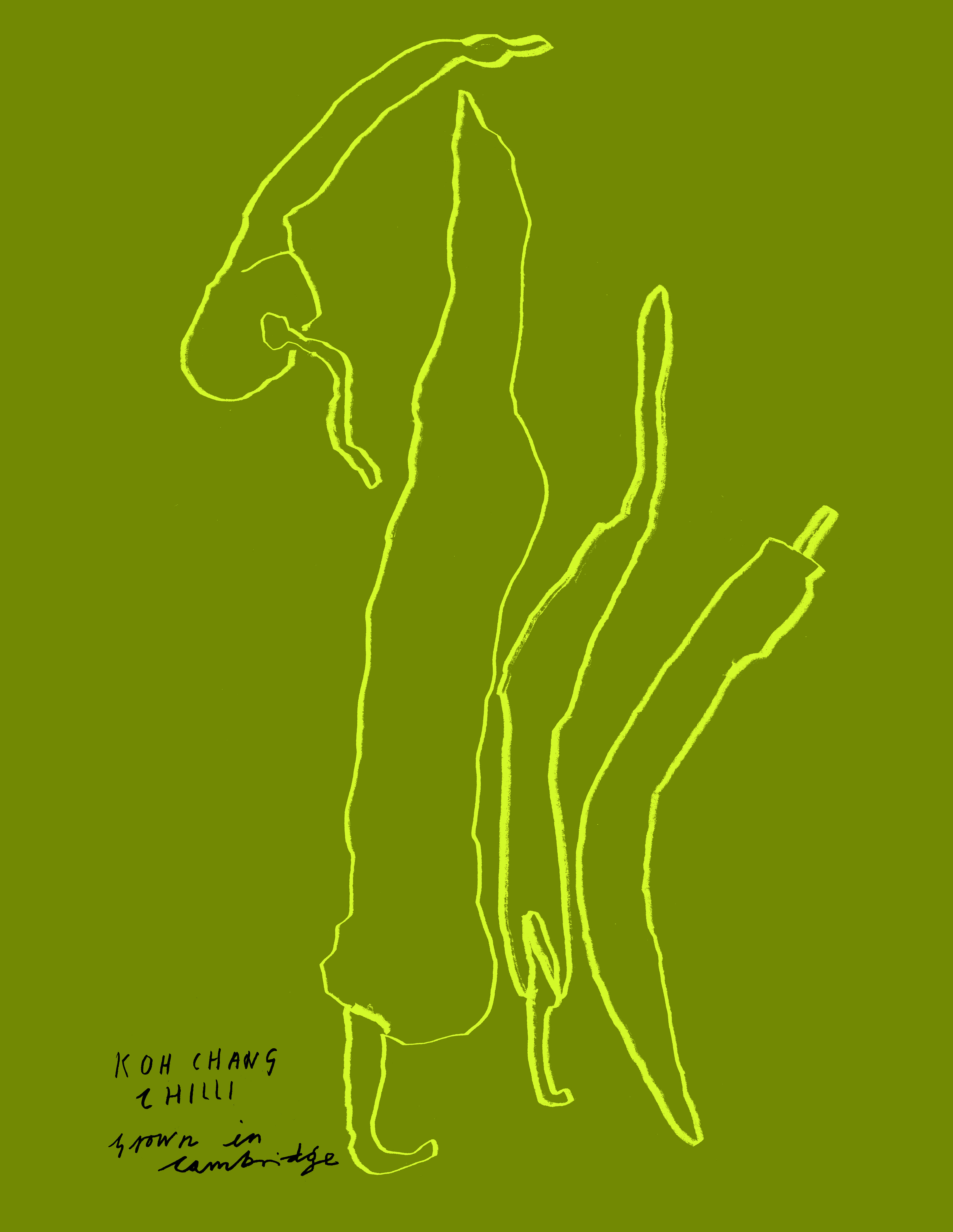 Koh Chang Peppers, 2026