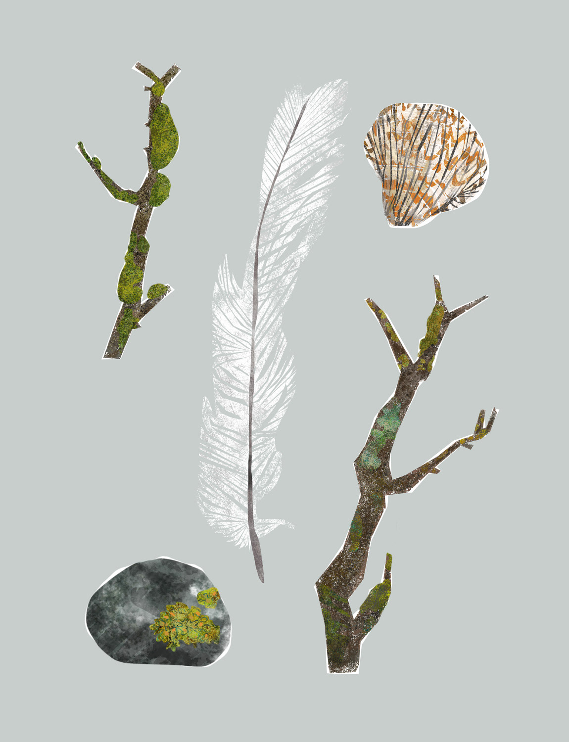 Autumn Collection, 2025