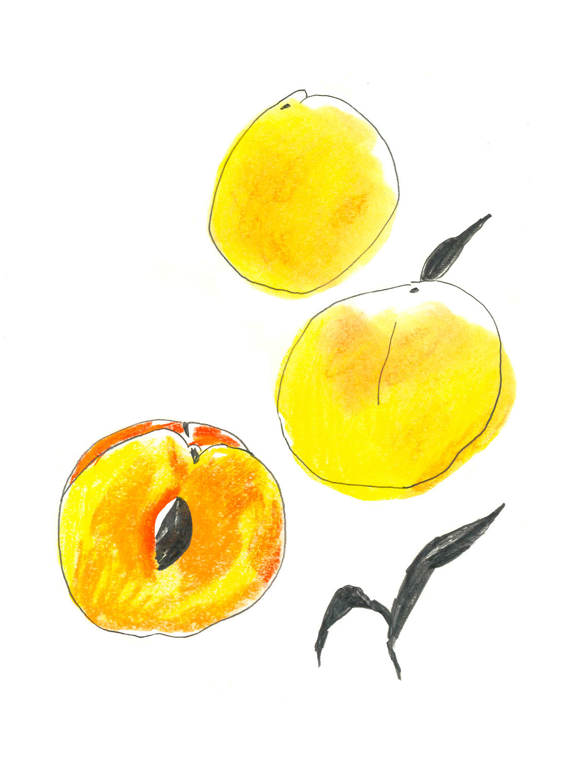 Peaches, The French House, 2012-2015