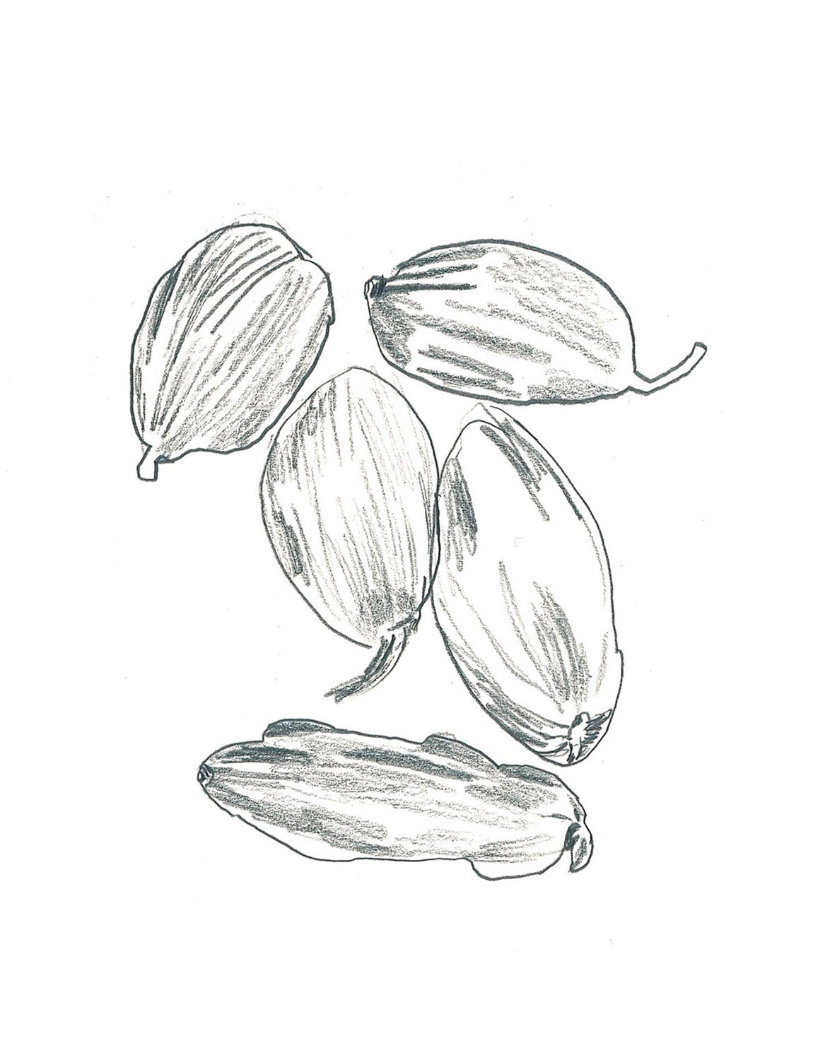 Cardamom, The French House, 2012-2015