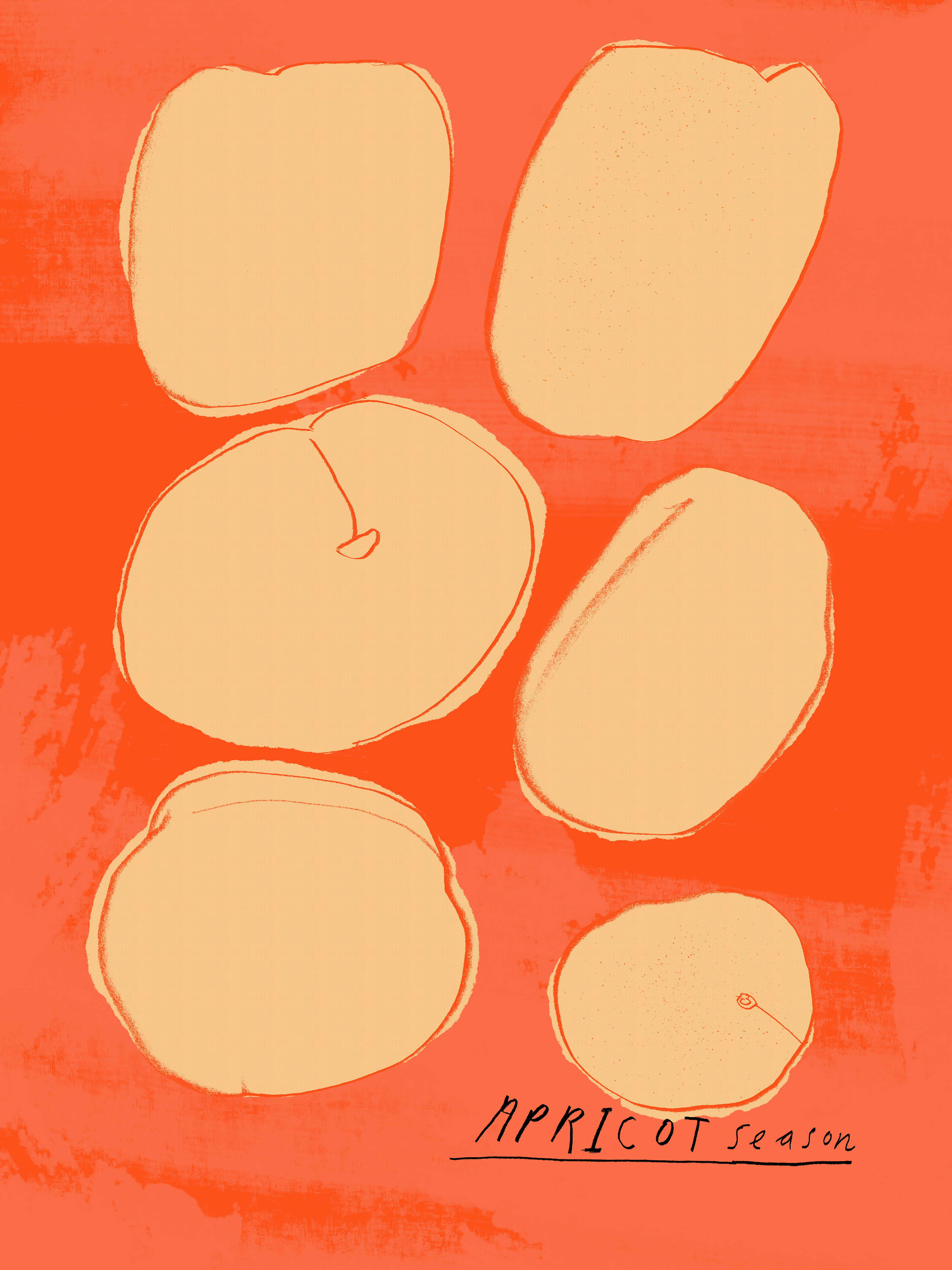 Apricots, 2026