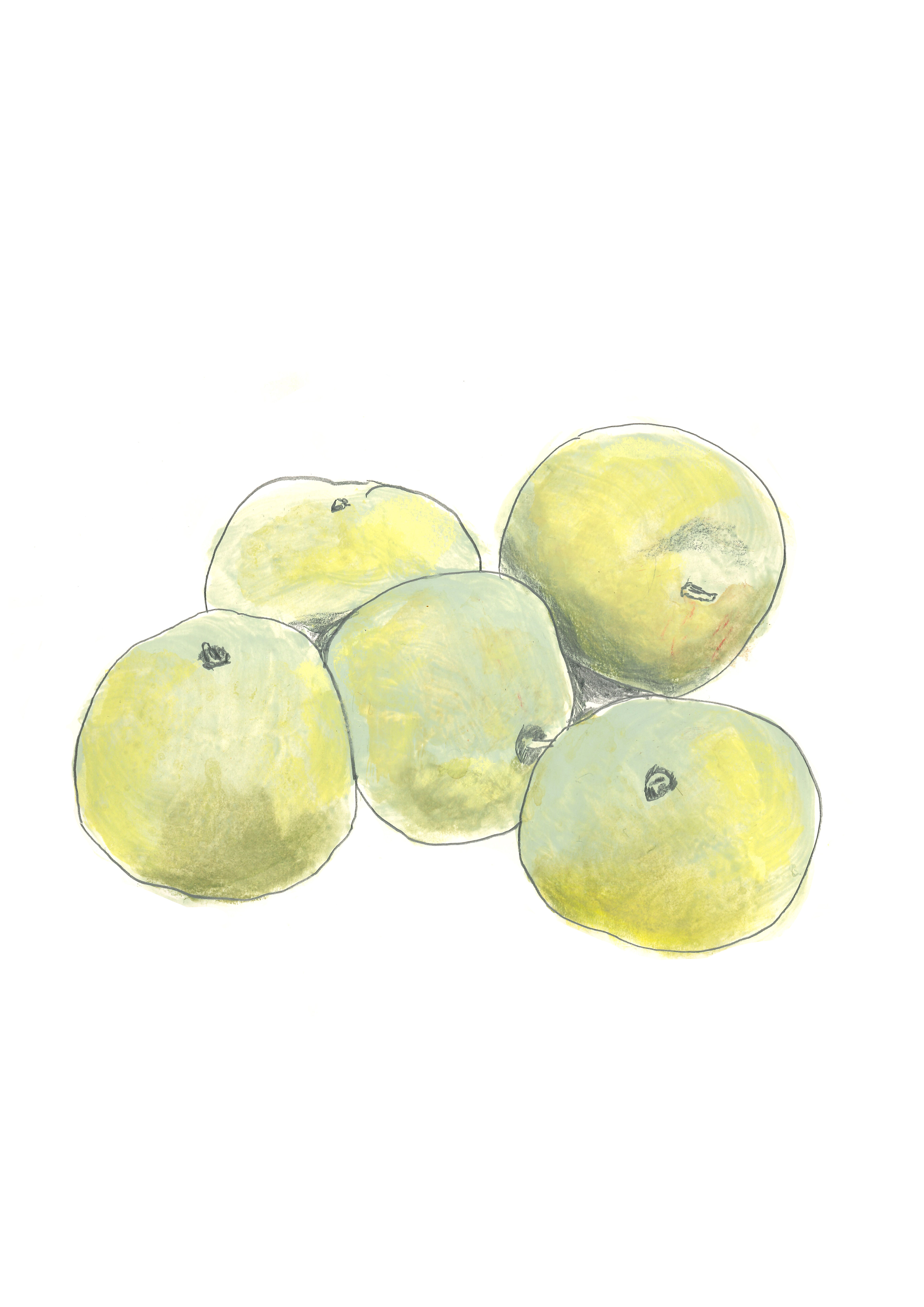 Bramley apples, The French House, 2012-2015