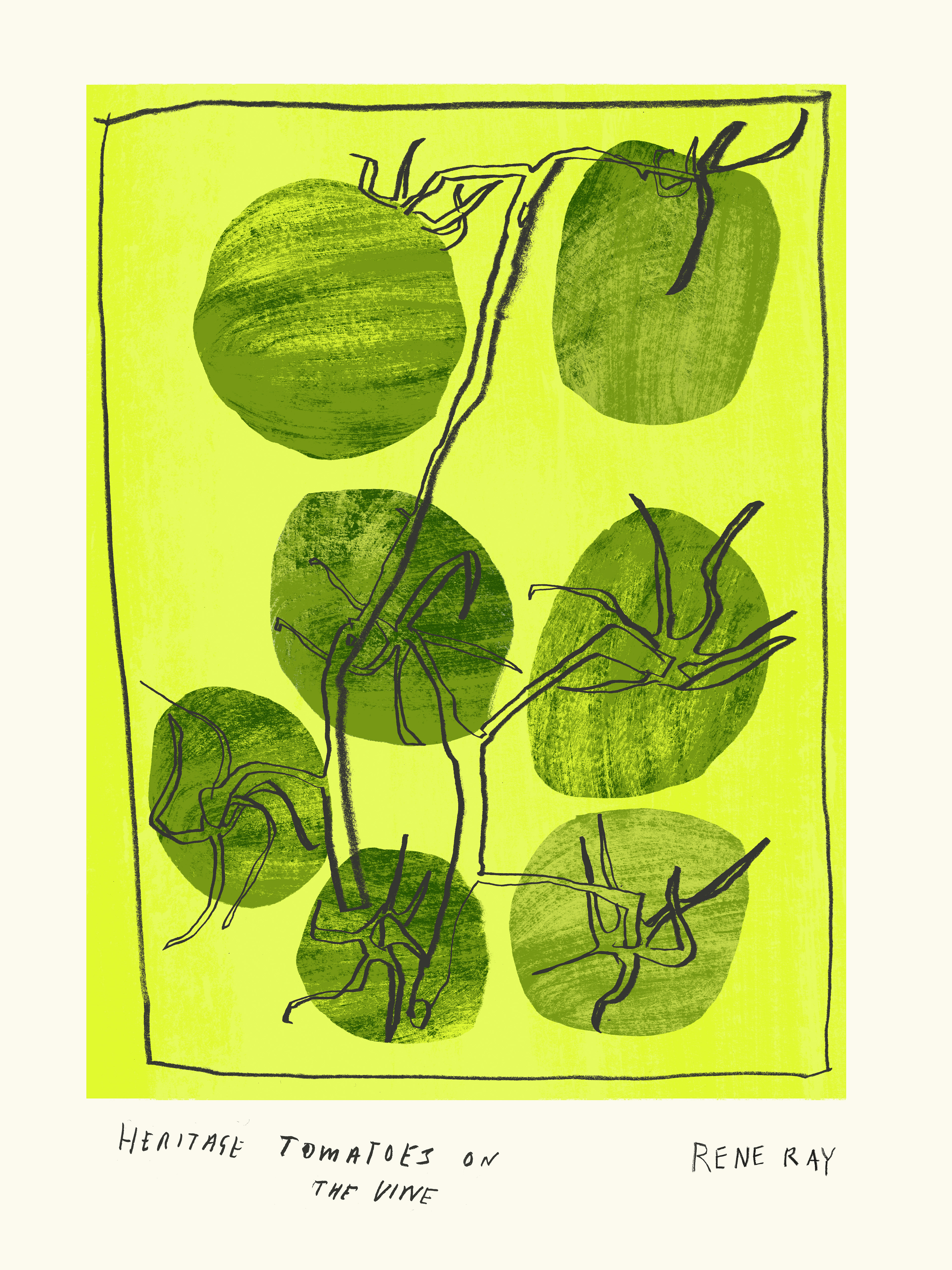 Vine Tomatoes, 2026
