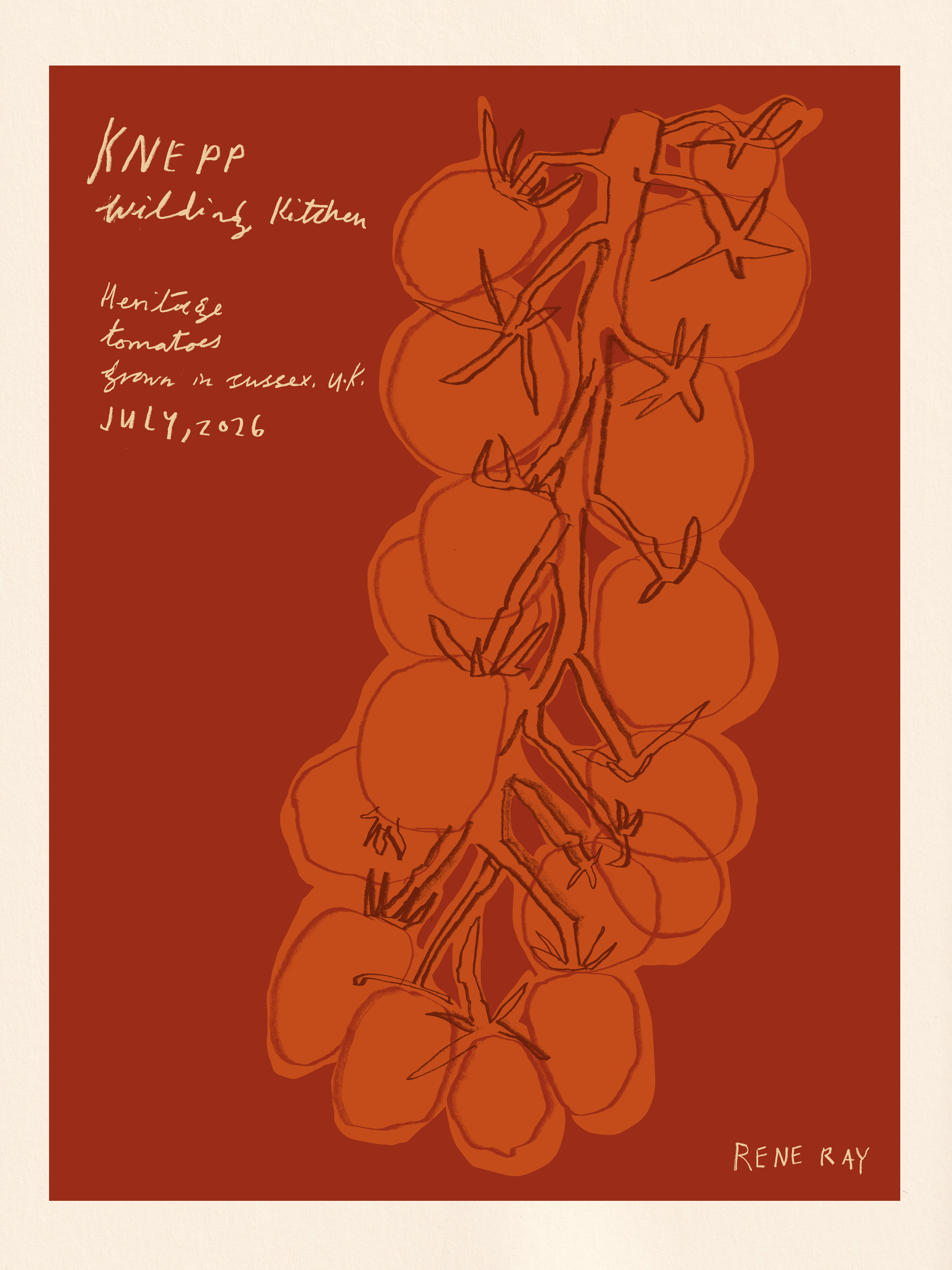 Knepp Wilding Kitchen Tomatoes, 2026