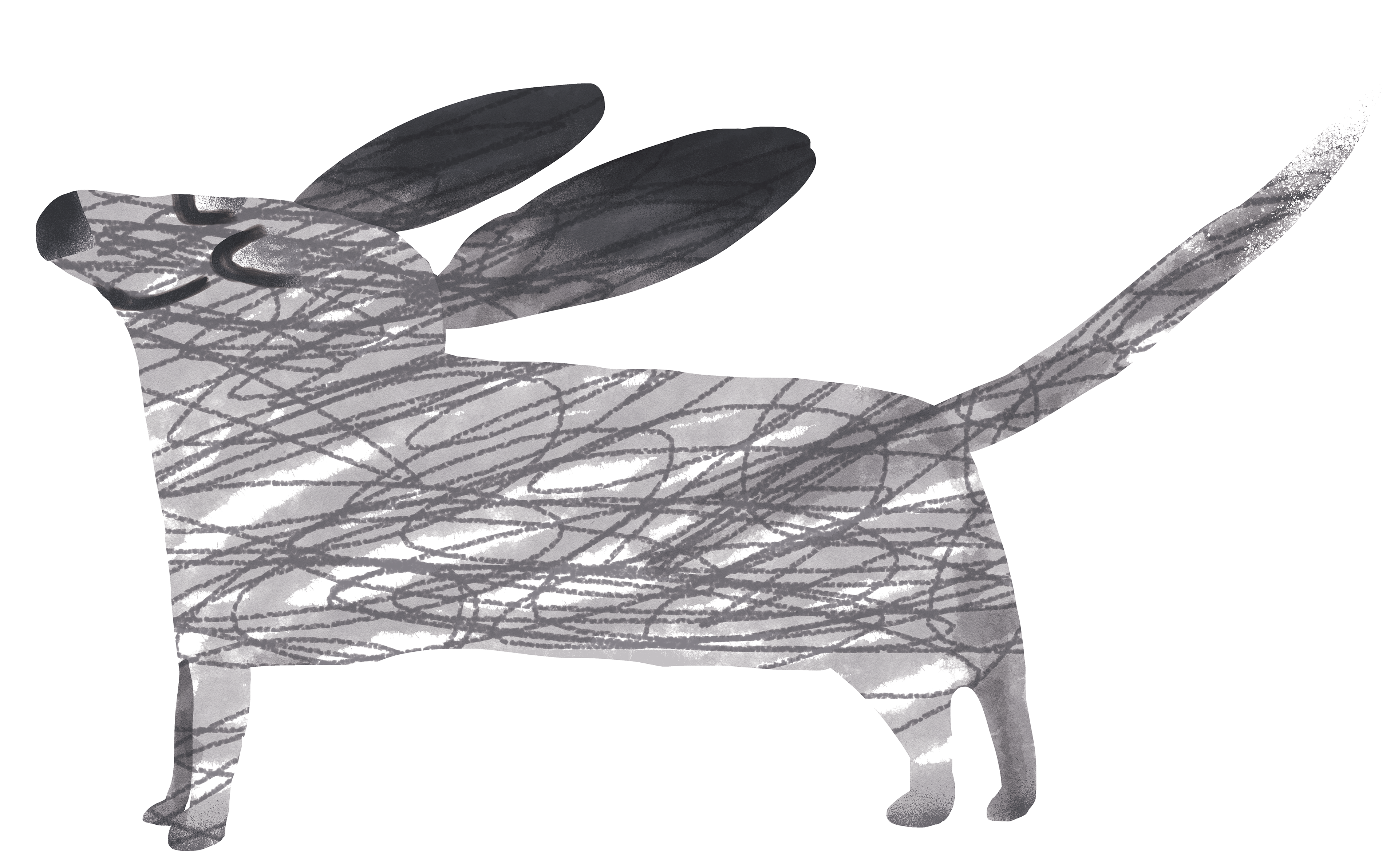 Dog enjoying the breeze, 2025