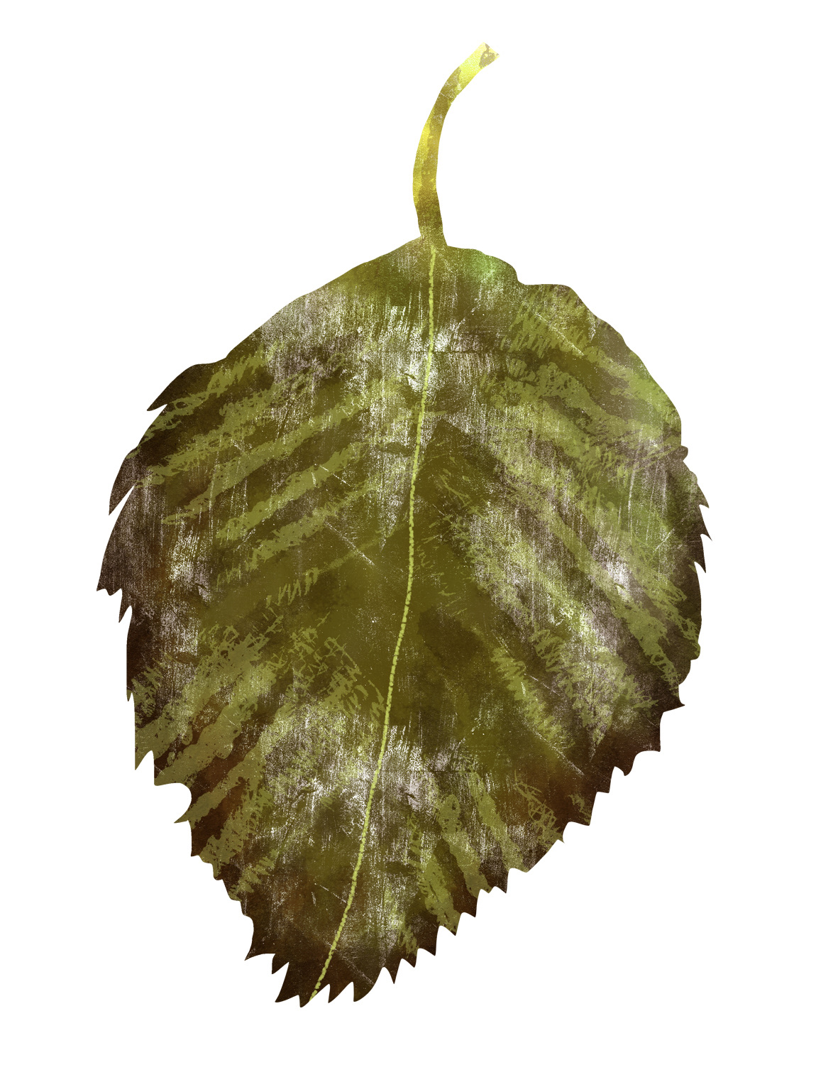 Autumn Leaf, 2025