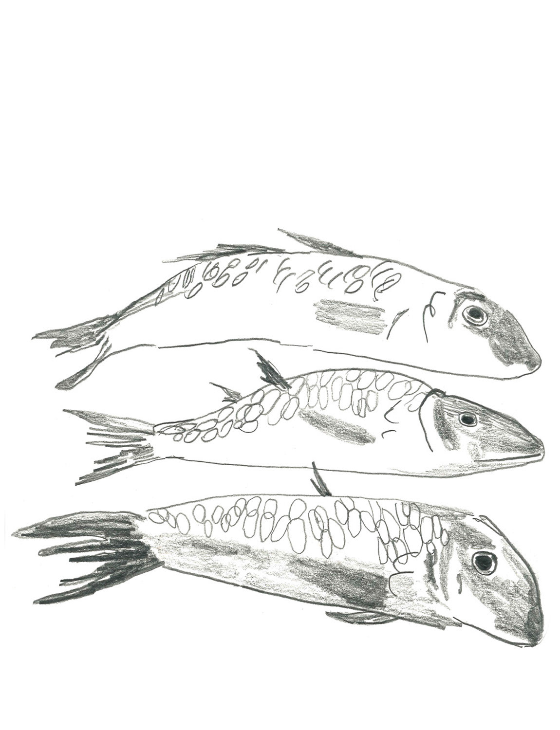 Fish, The French House, 2012-2015