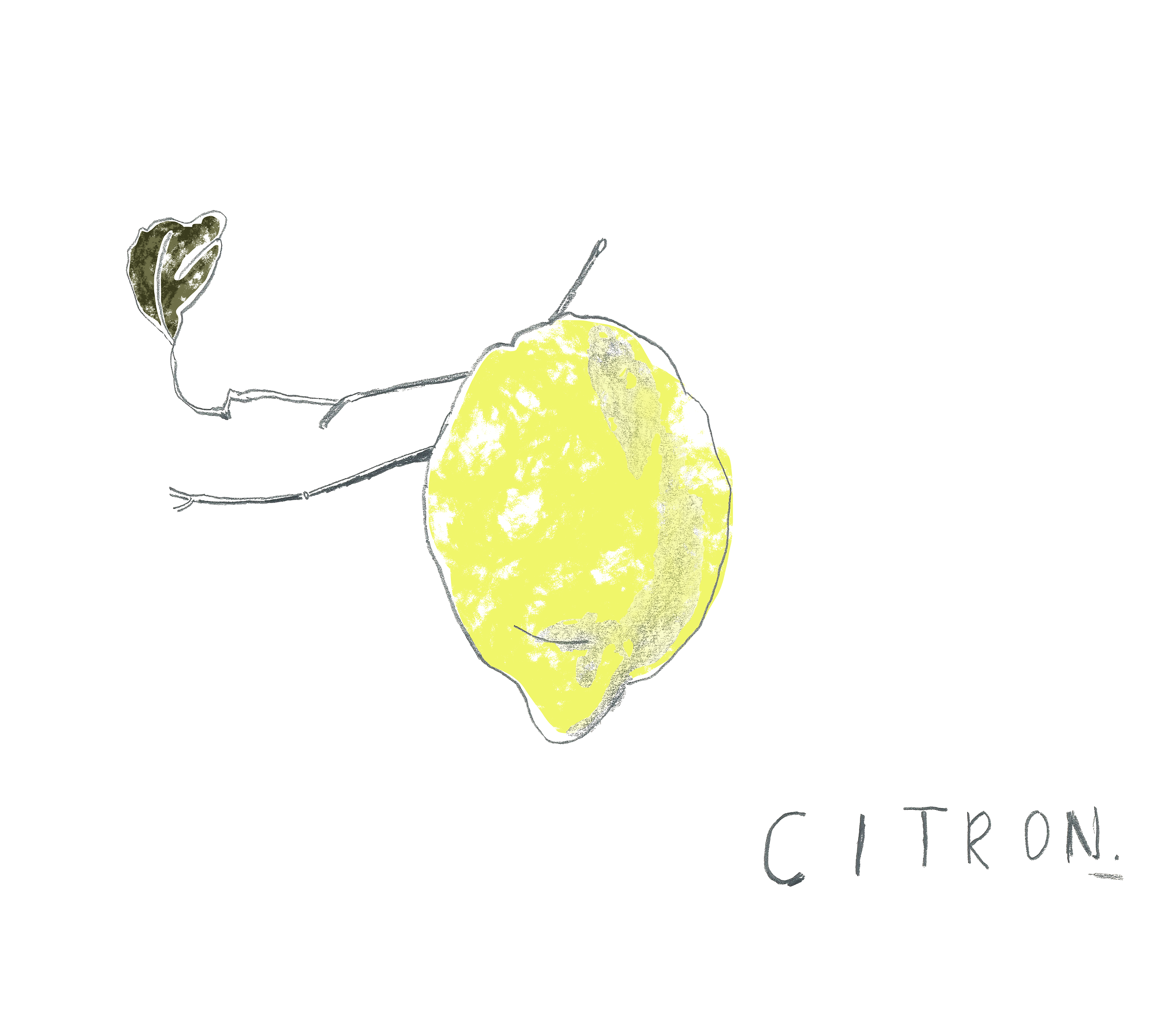 Lemon, The French House, 2012-2015